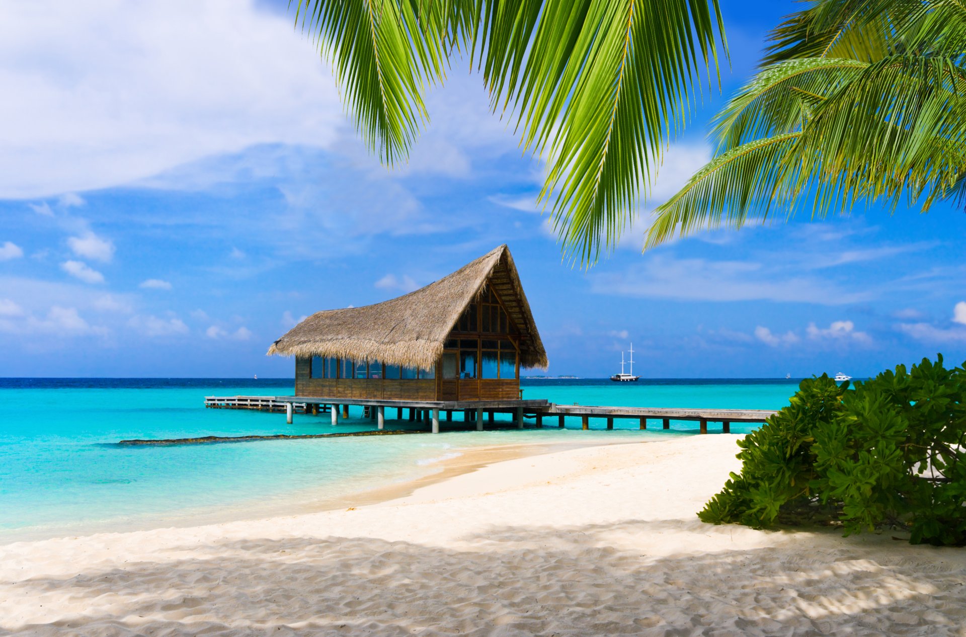 maldives plage sable palmiers océan