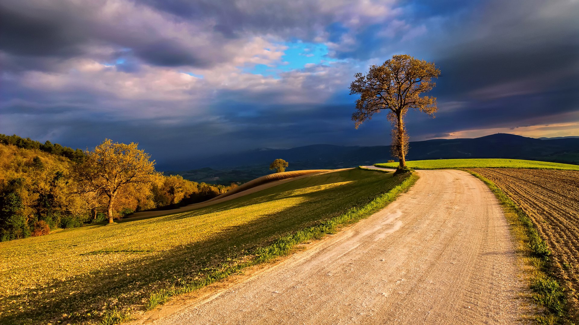 italia naturaleza campos árbol luz nubes nubes cielo