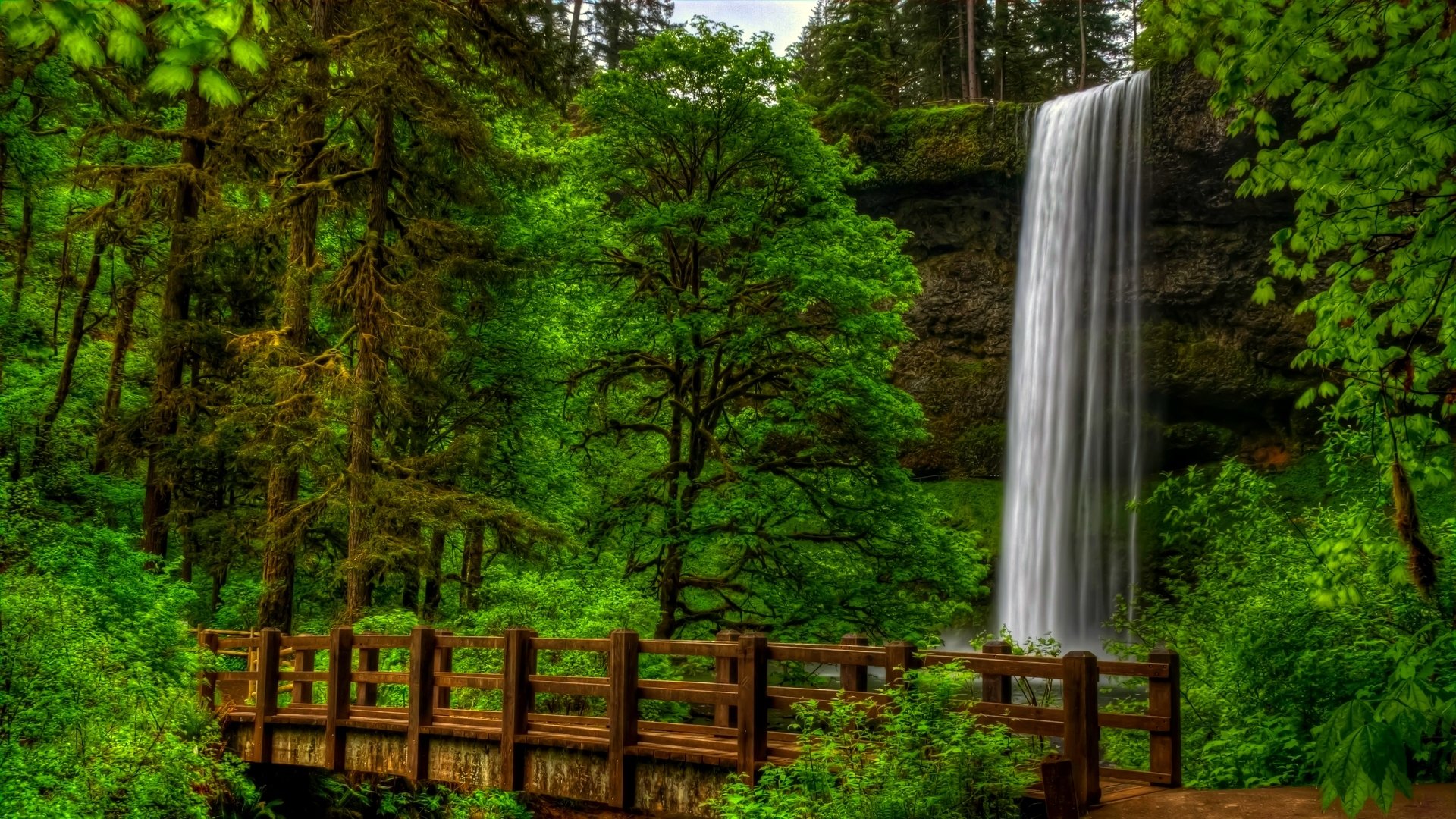 nature view trees forest park bridge waterfall water landscape view