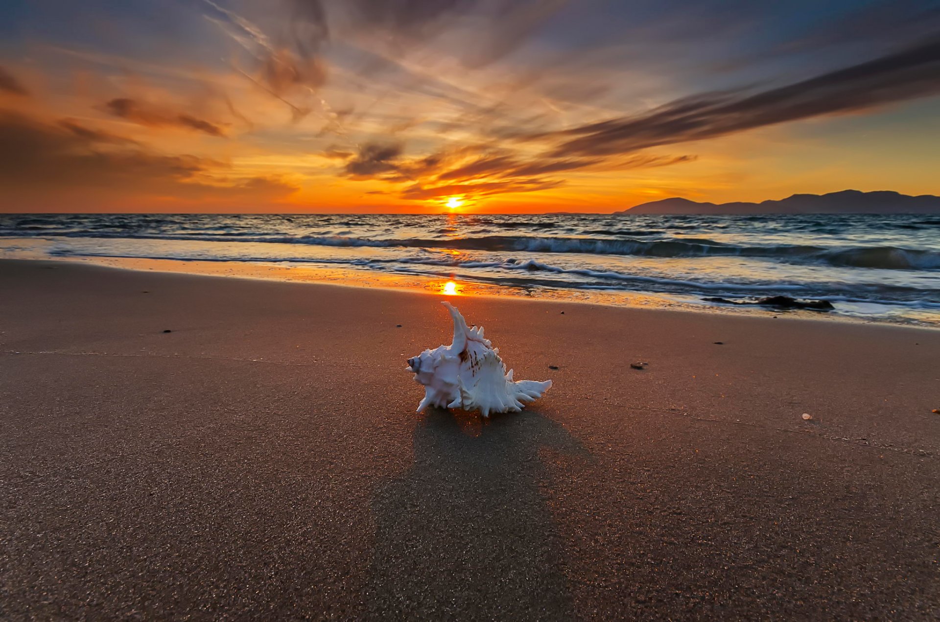 trésors de mer côte coquille ressac coucher de soleil