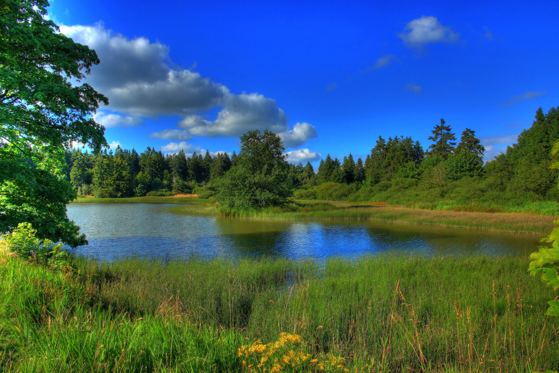 hessen deutschland himmel wolken wald bäume fluss see gras landschaft