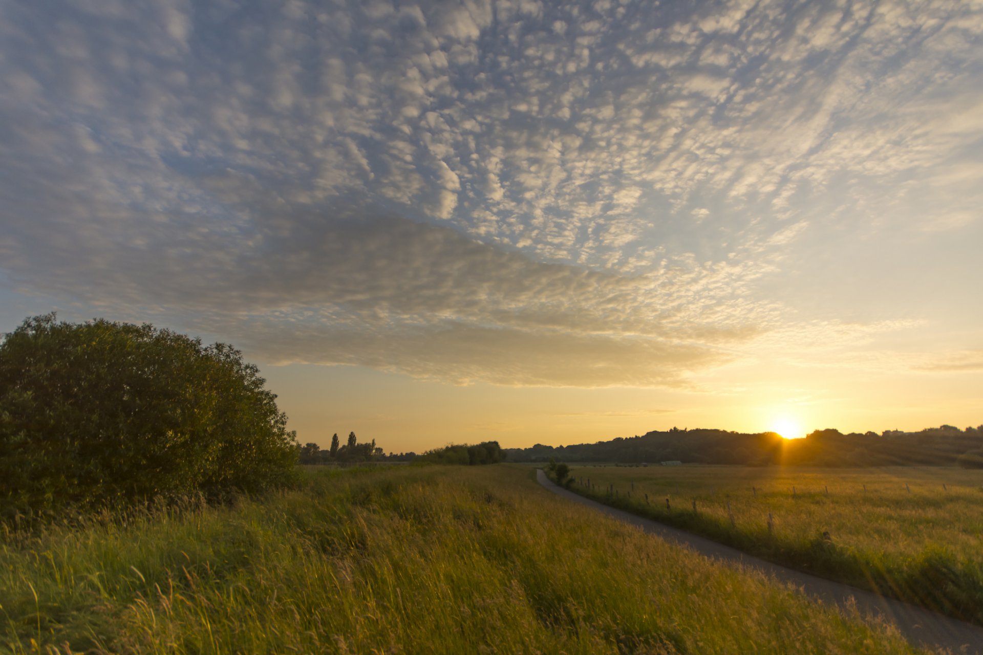 germania campo radura sentiero alberi sera sole raggi tramonto cielo nuvole