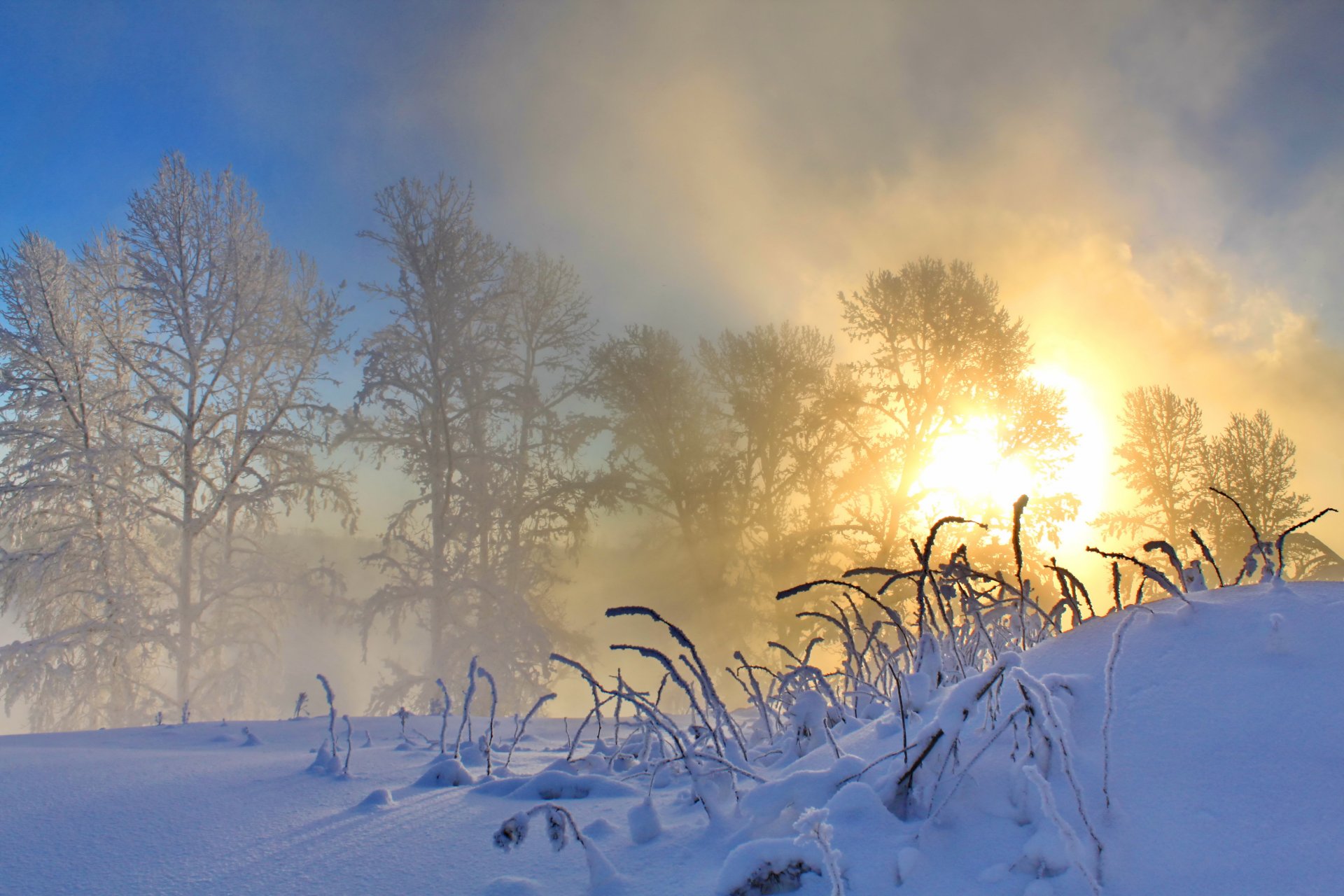 mattina inverno neve sole natura