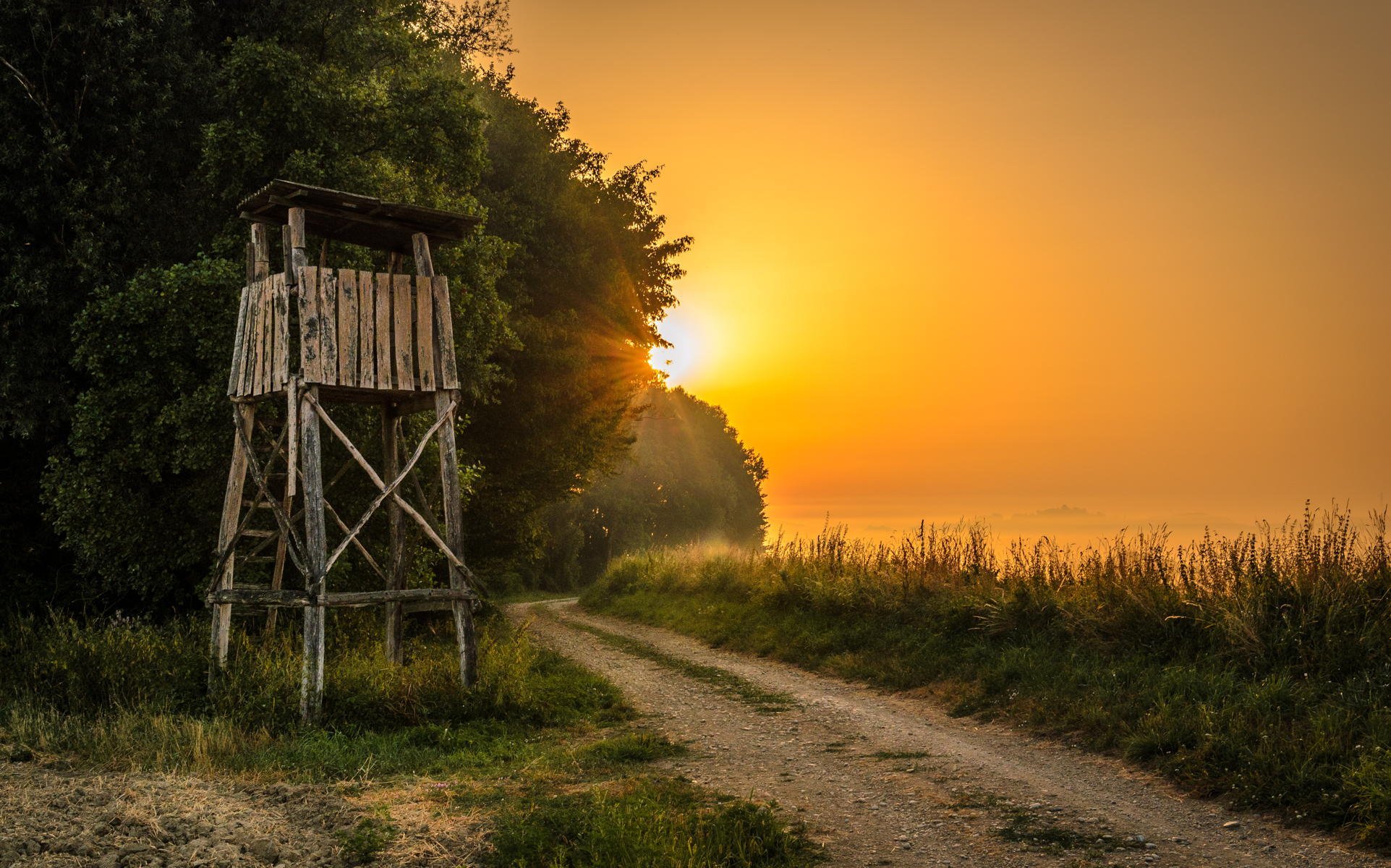 morgennebel morgen sonne nebel