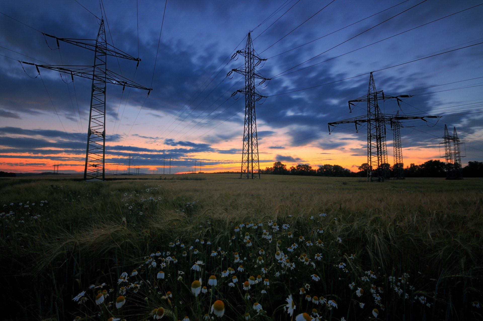 lichtung feld sommer gras bäume blumen gänseblümchen stromleitung abend sonnenuntergang himmel wolken