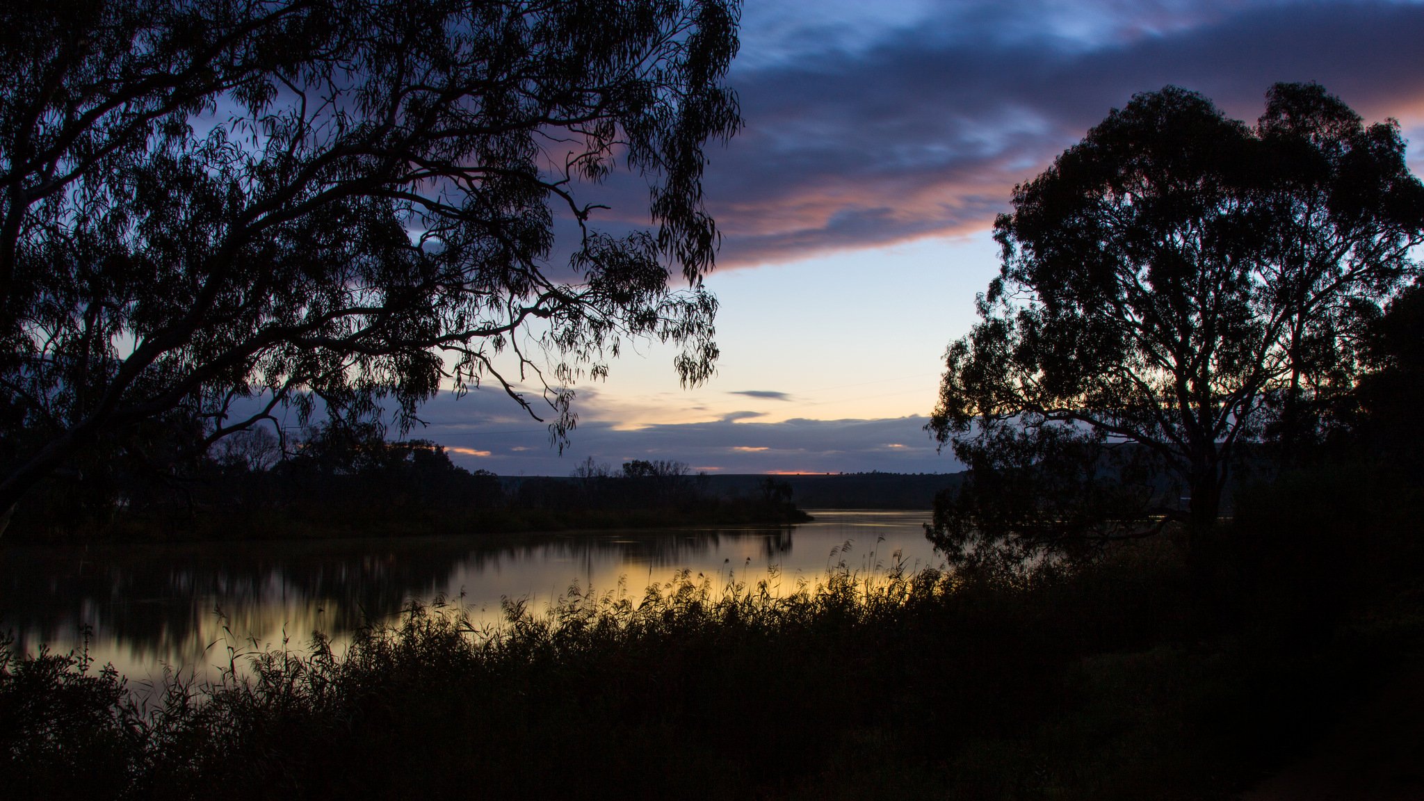 australia morning dawn river beach grass tree sky clouds reflection