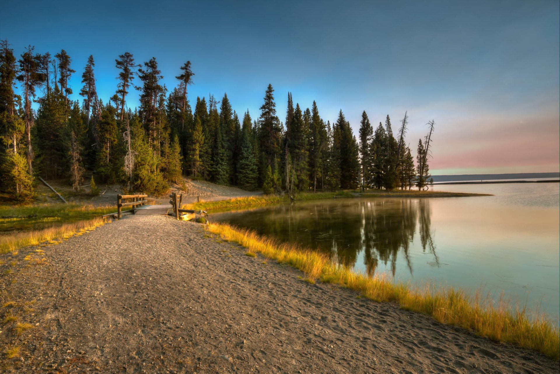 lago loroga foresta ponte alberi natura