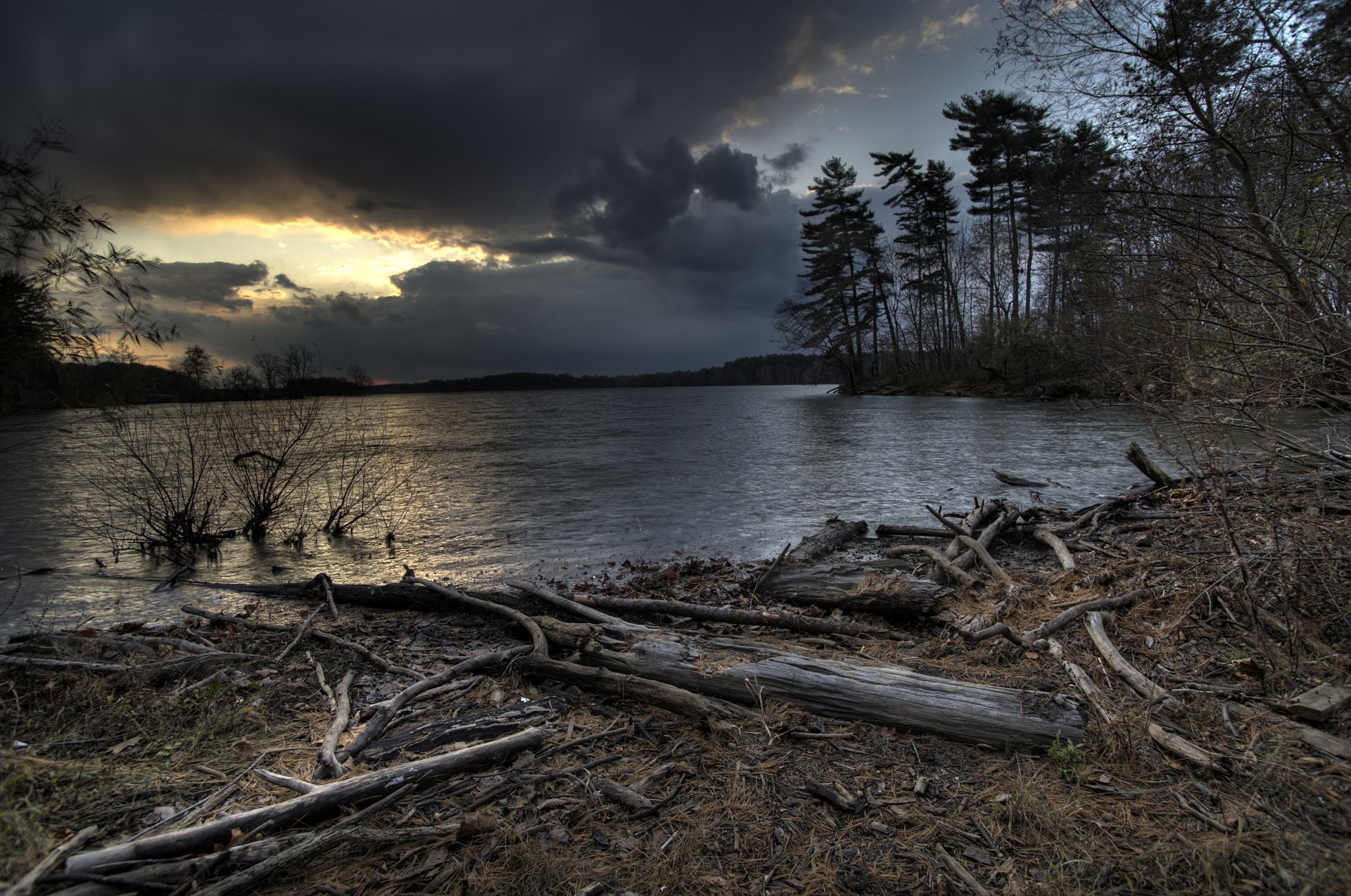 river clouds night tree