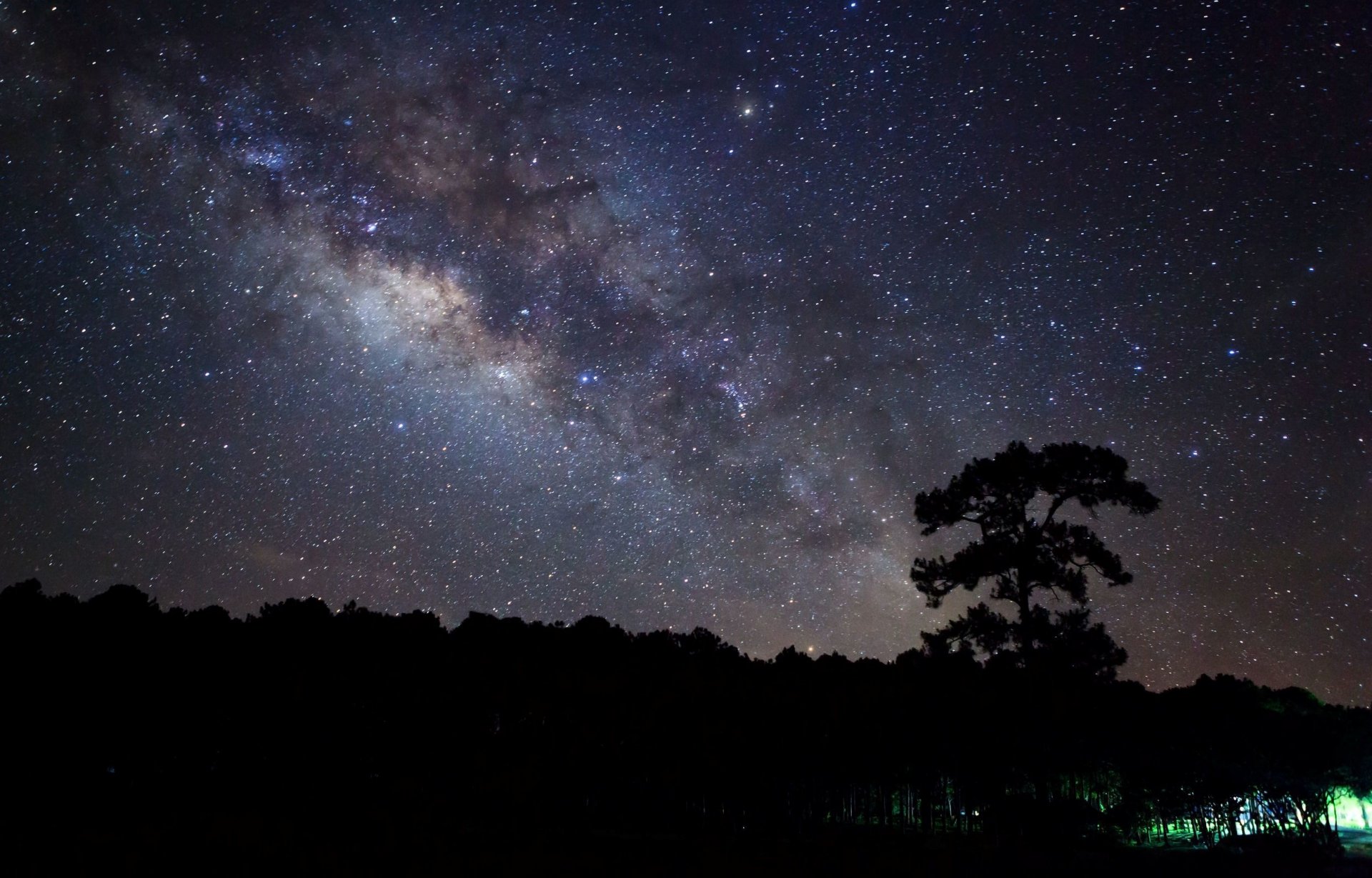 natura wieczór noc gwiazdy drzewo drzewa tło tapeta panoramiczny pełny ekran panoramiczny panoramiczny