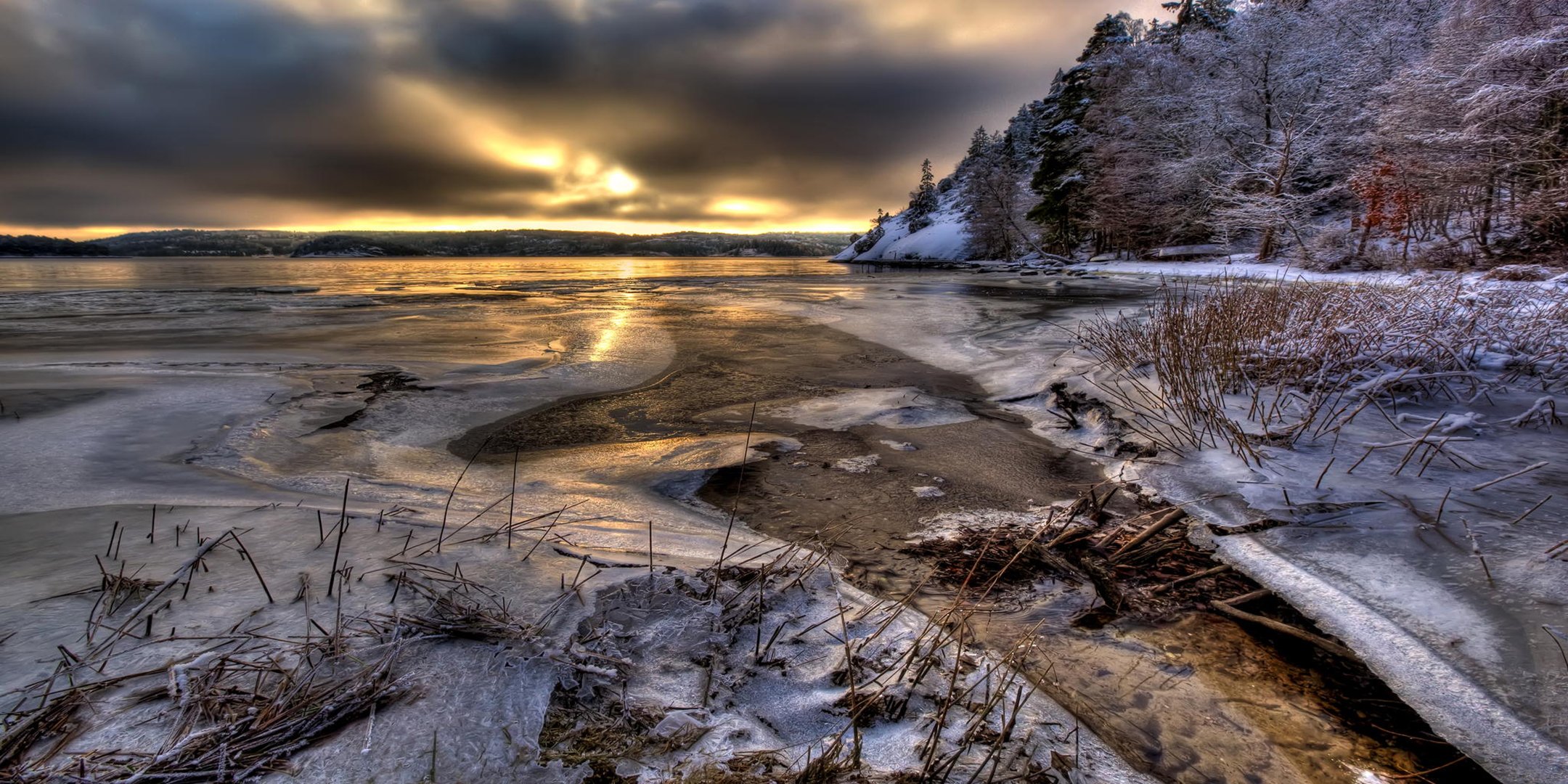 suecia agua nieve árboles