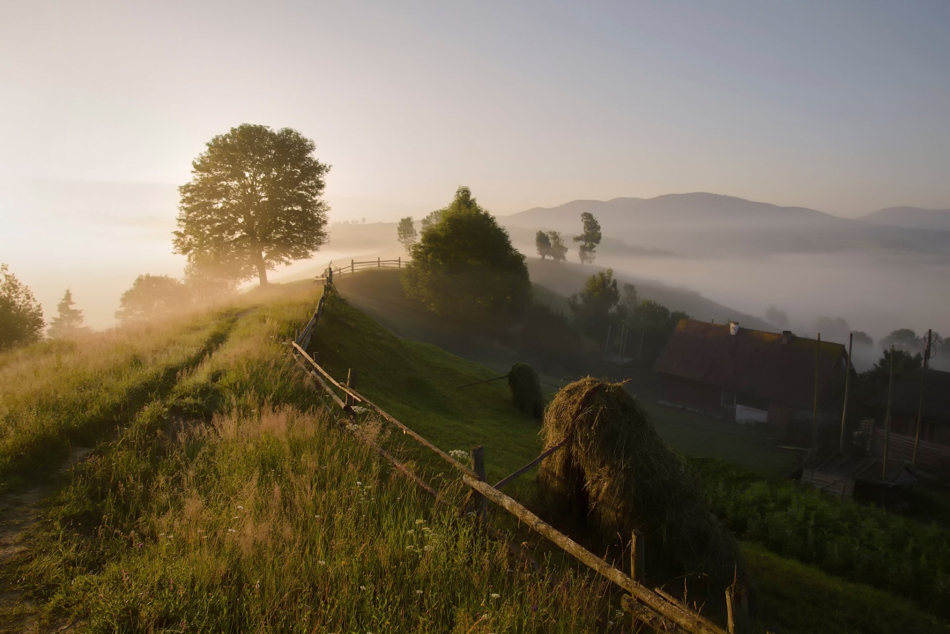 carpathian mountains village morning fog summer