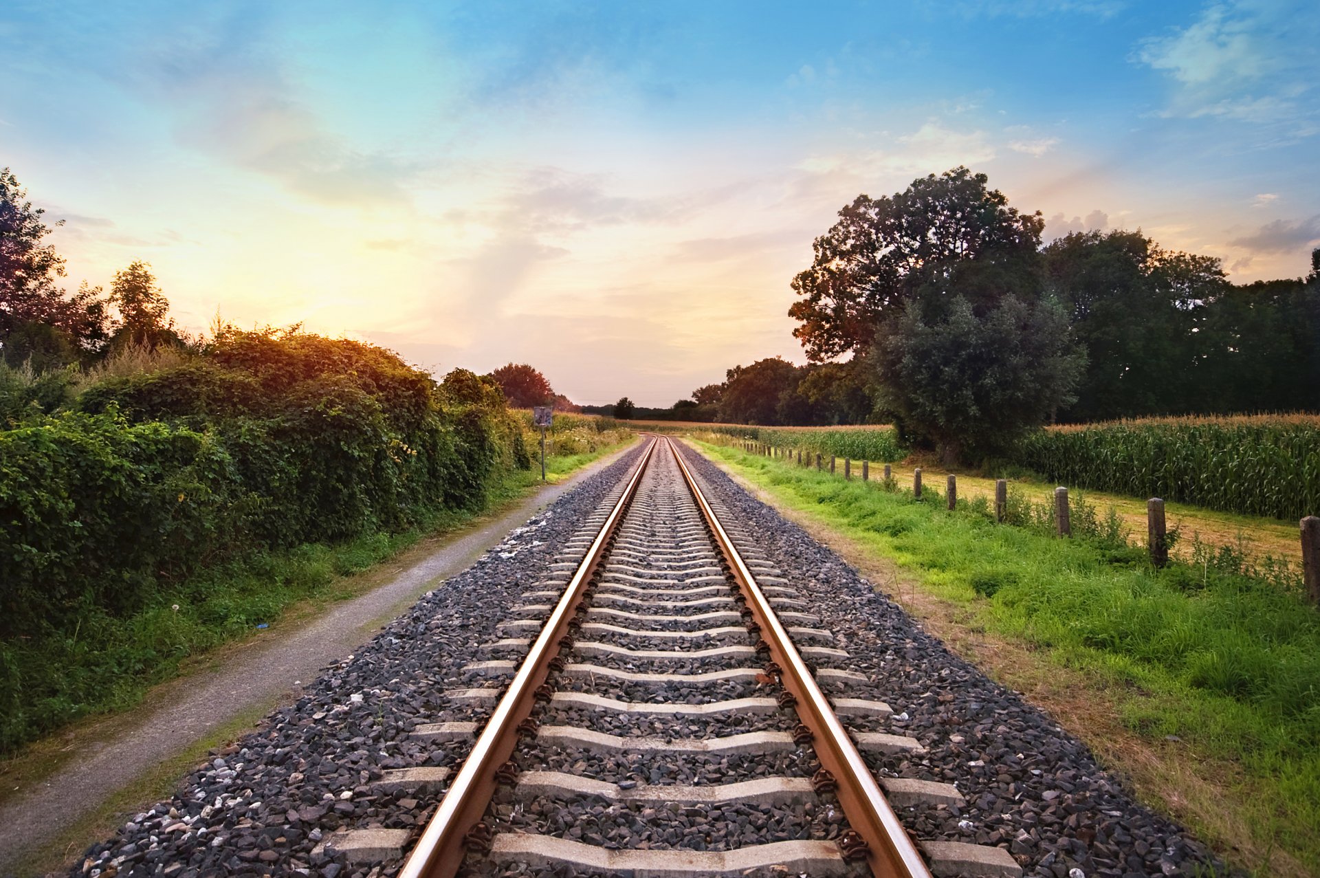 chemin de fer nature rails