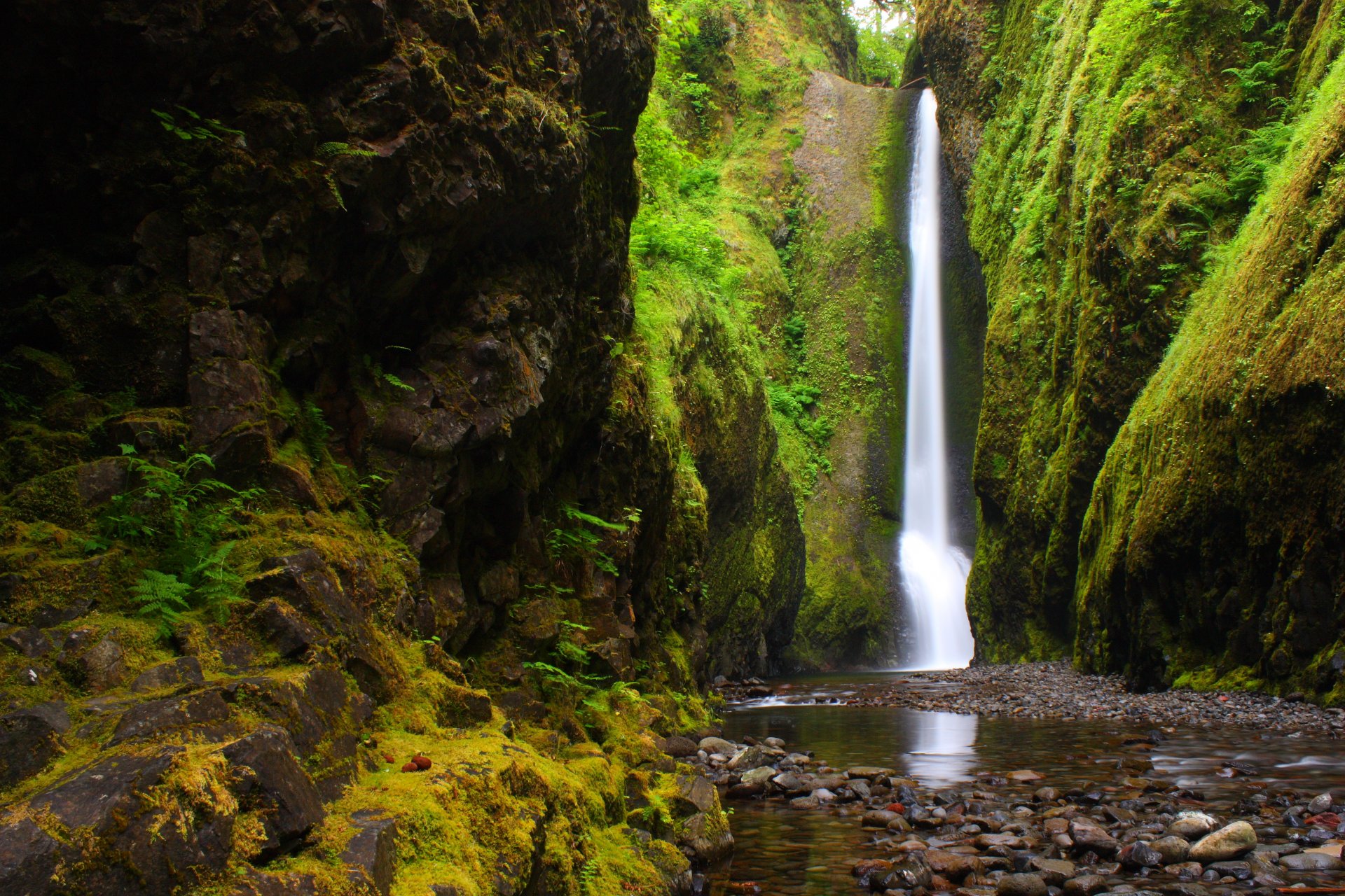 river mountain forest nature river gorge oregon