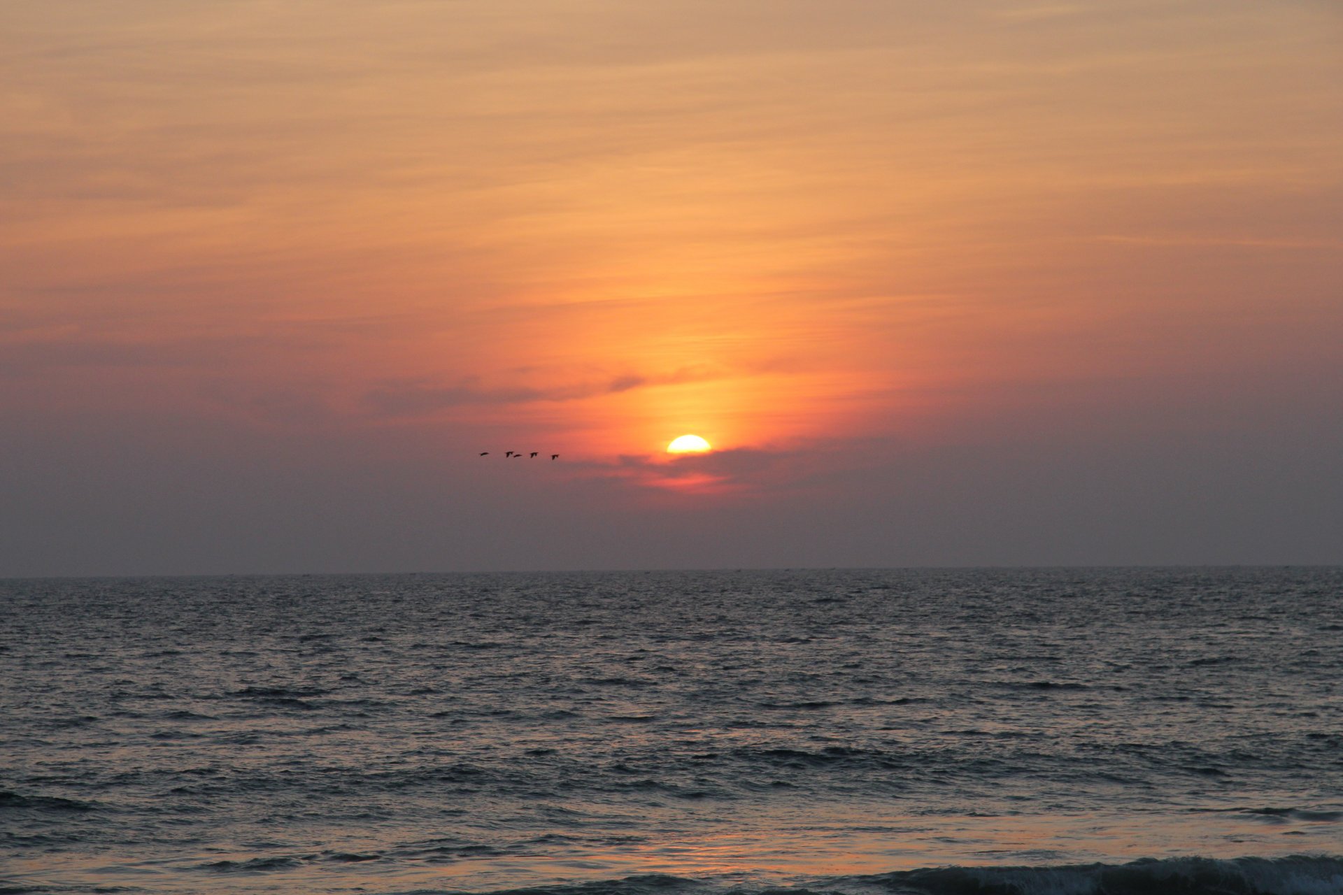 natur ozean indien sonne sonnenuntergang vögel