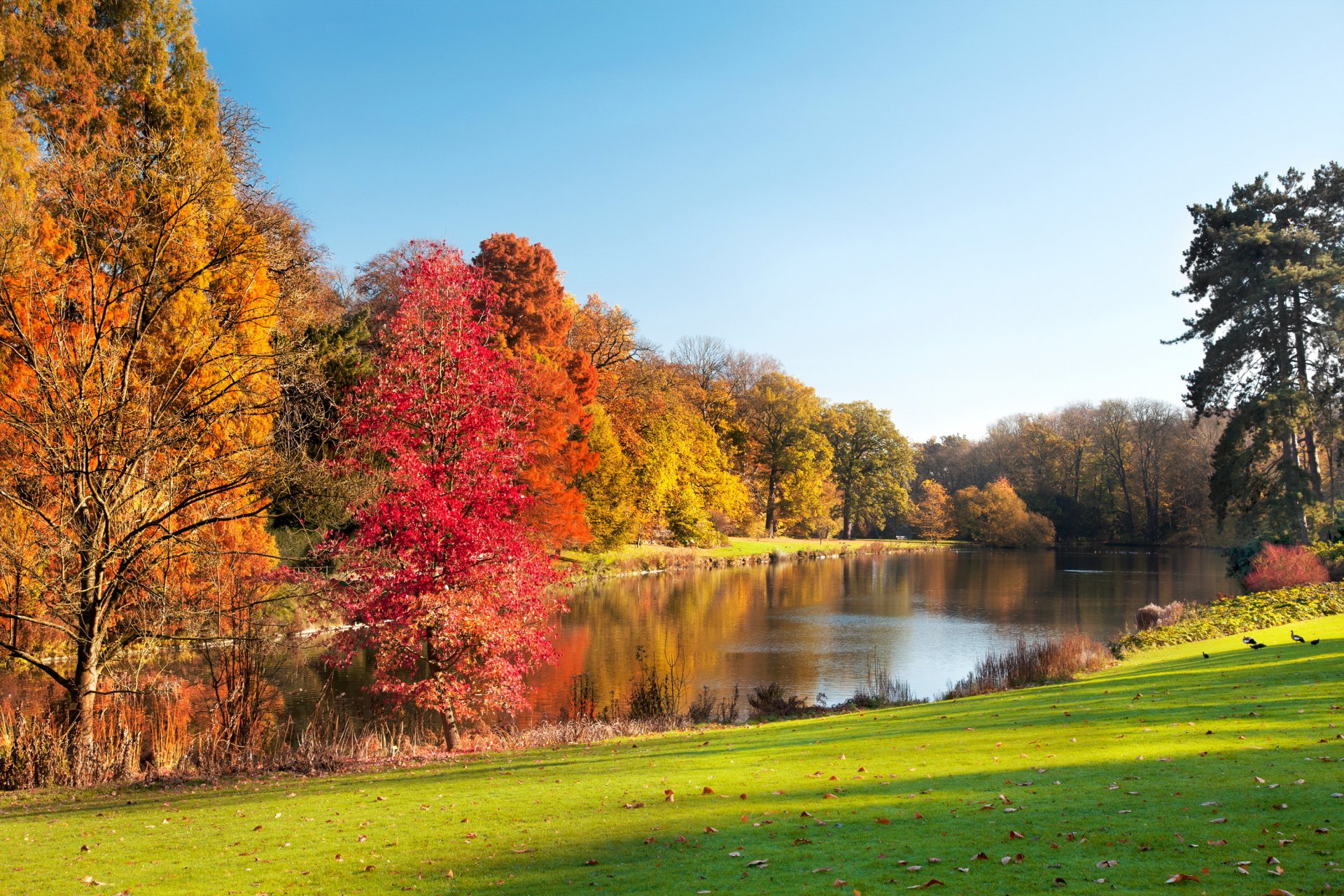 jesień park krajobraz jezioro sezon jesienny