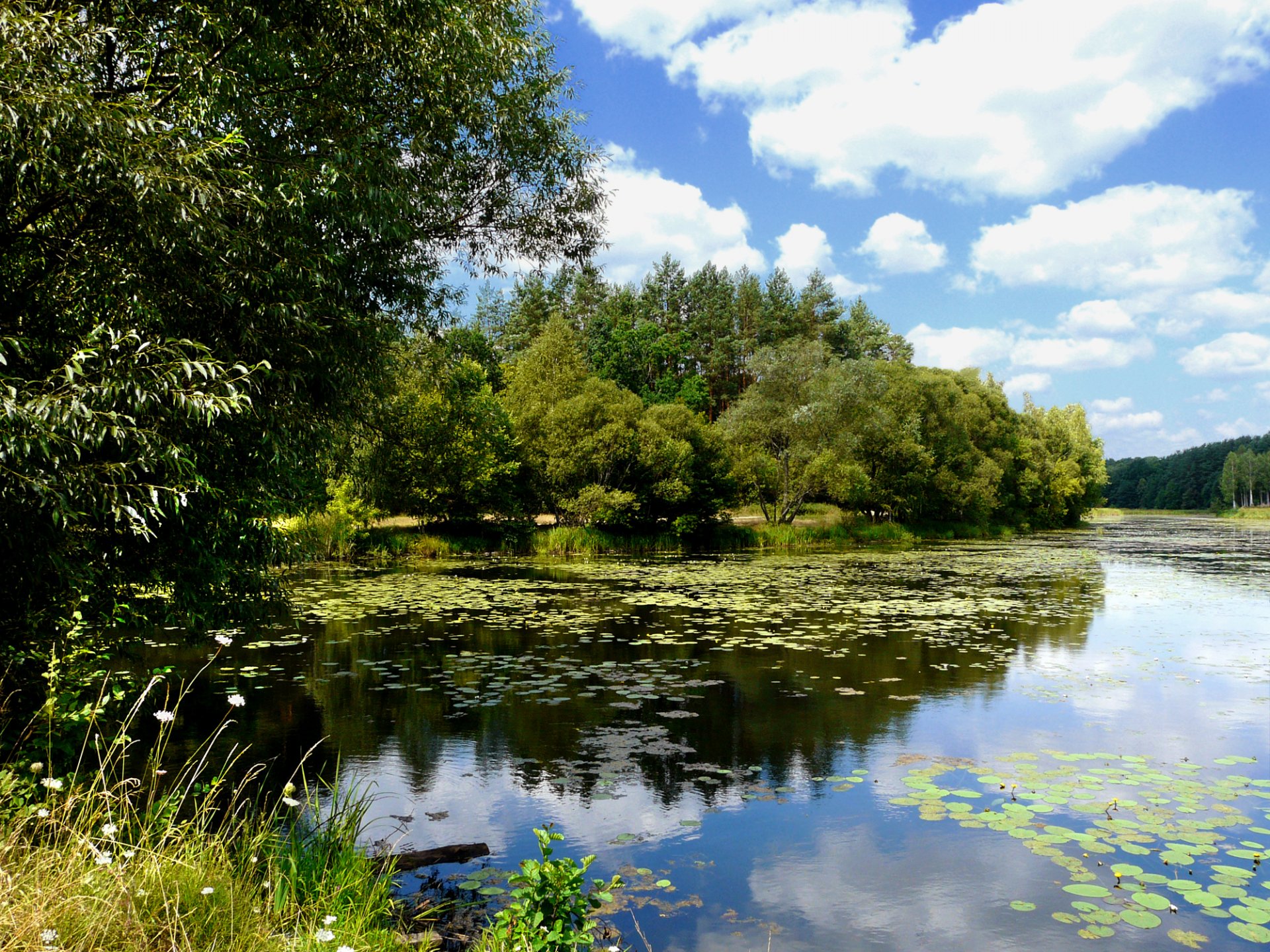 lac nuages arbres réflexion