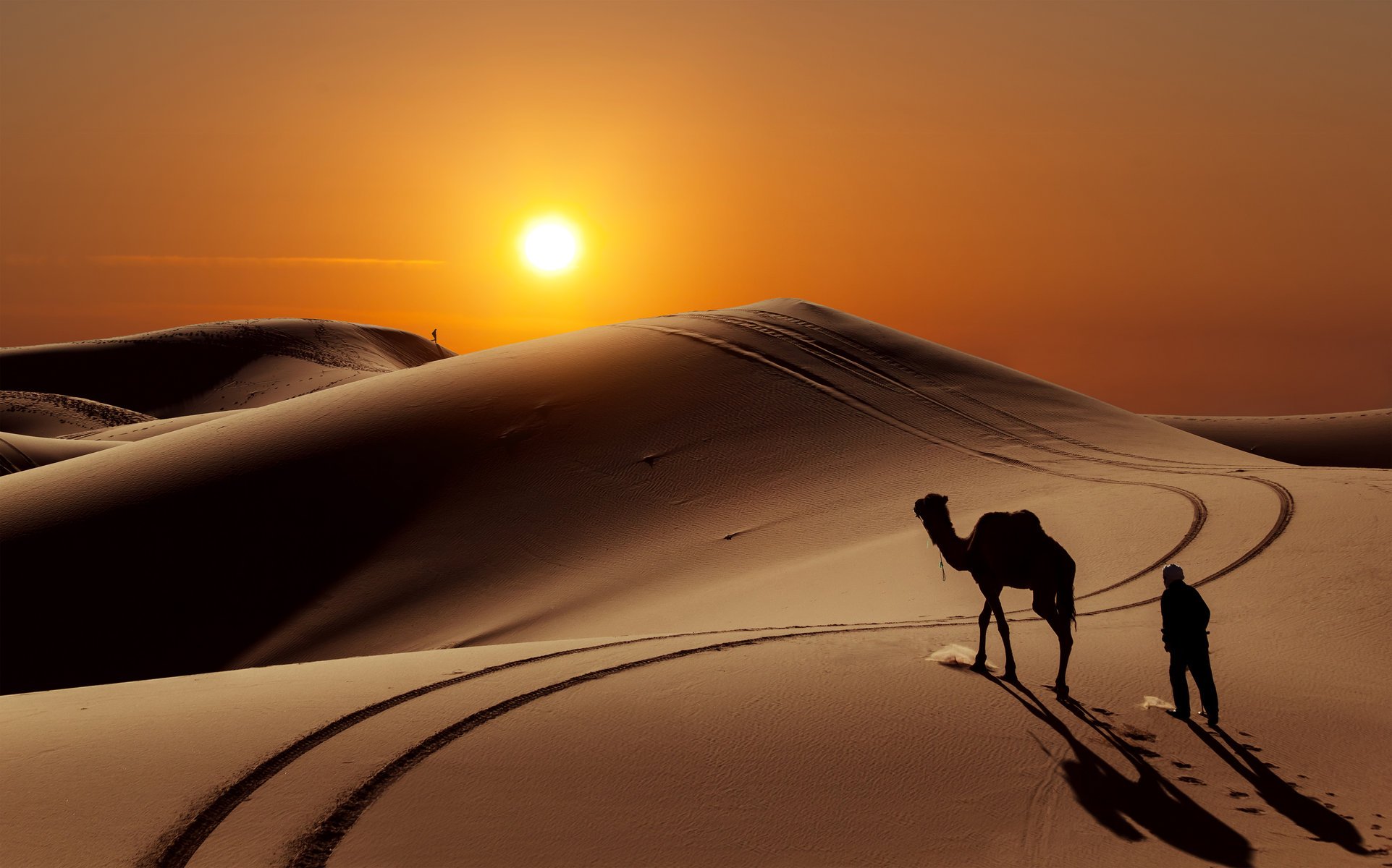 desert dunes camel people sun