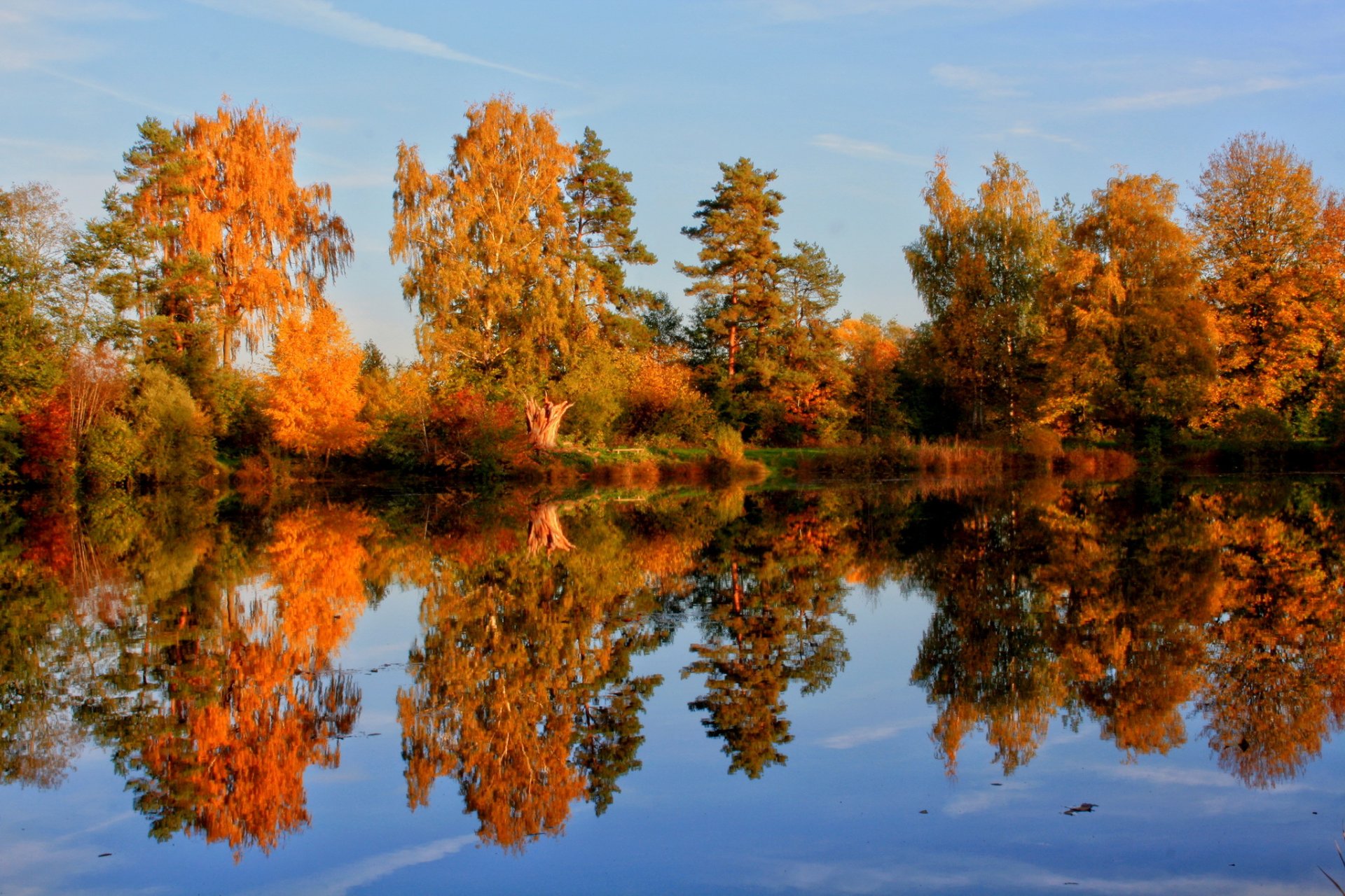 germany laupheim nature autumn trees