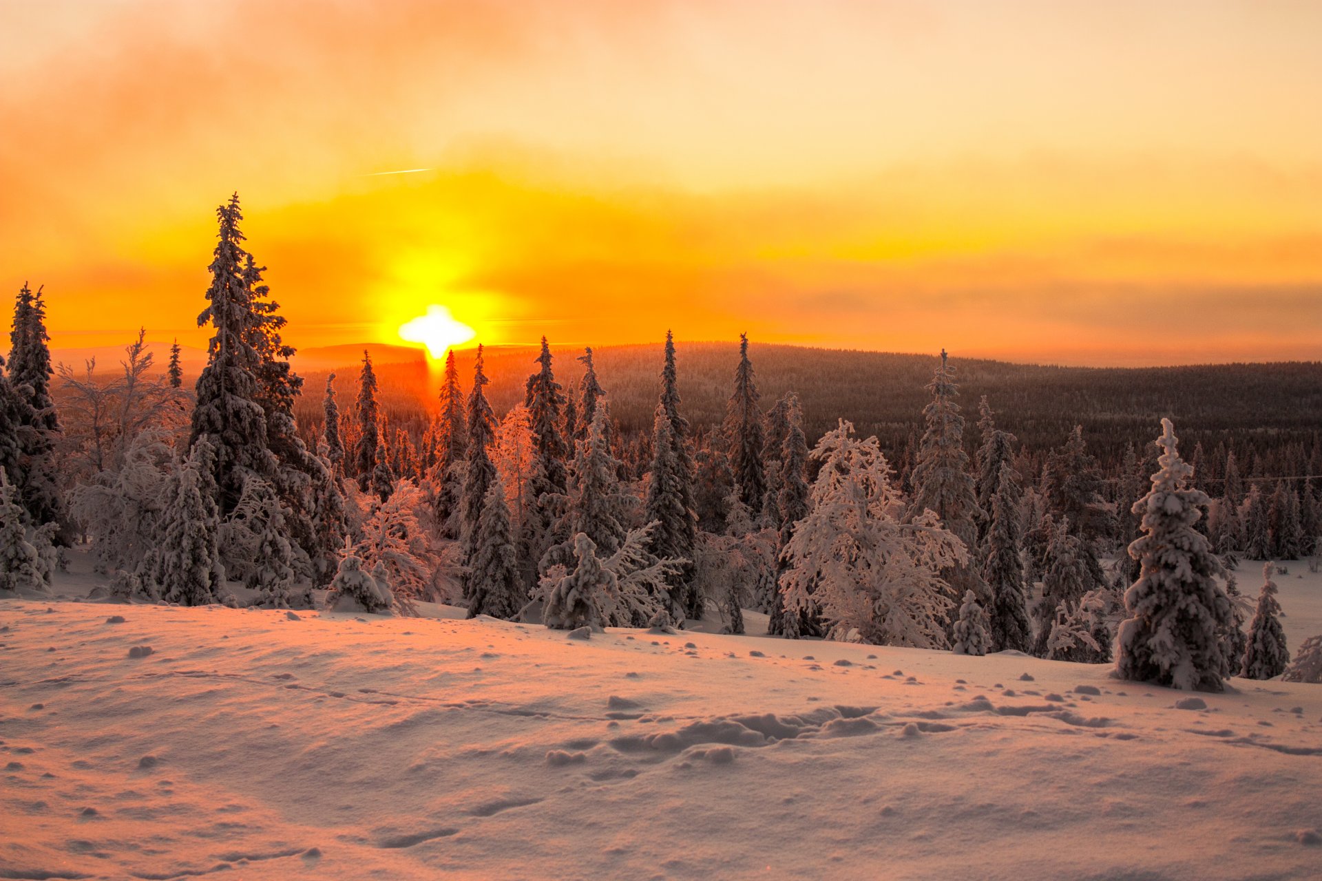 alba sole neve foresta colline inverno