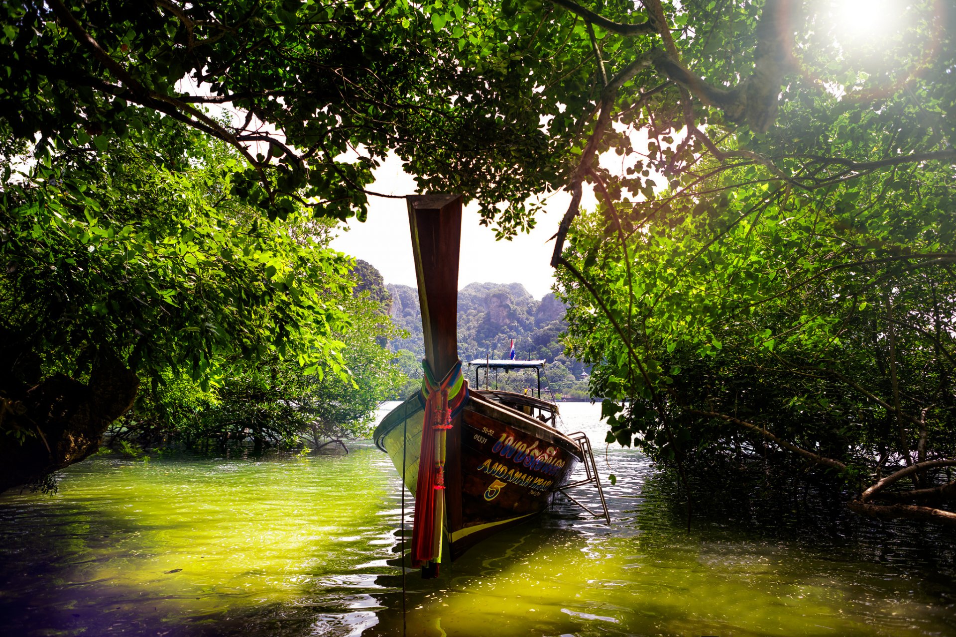 thailandia jugnli acqua barca alberi