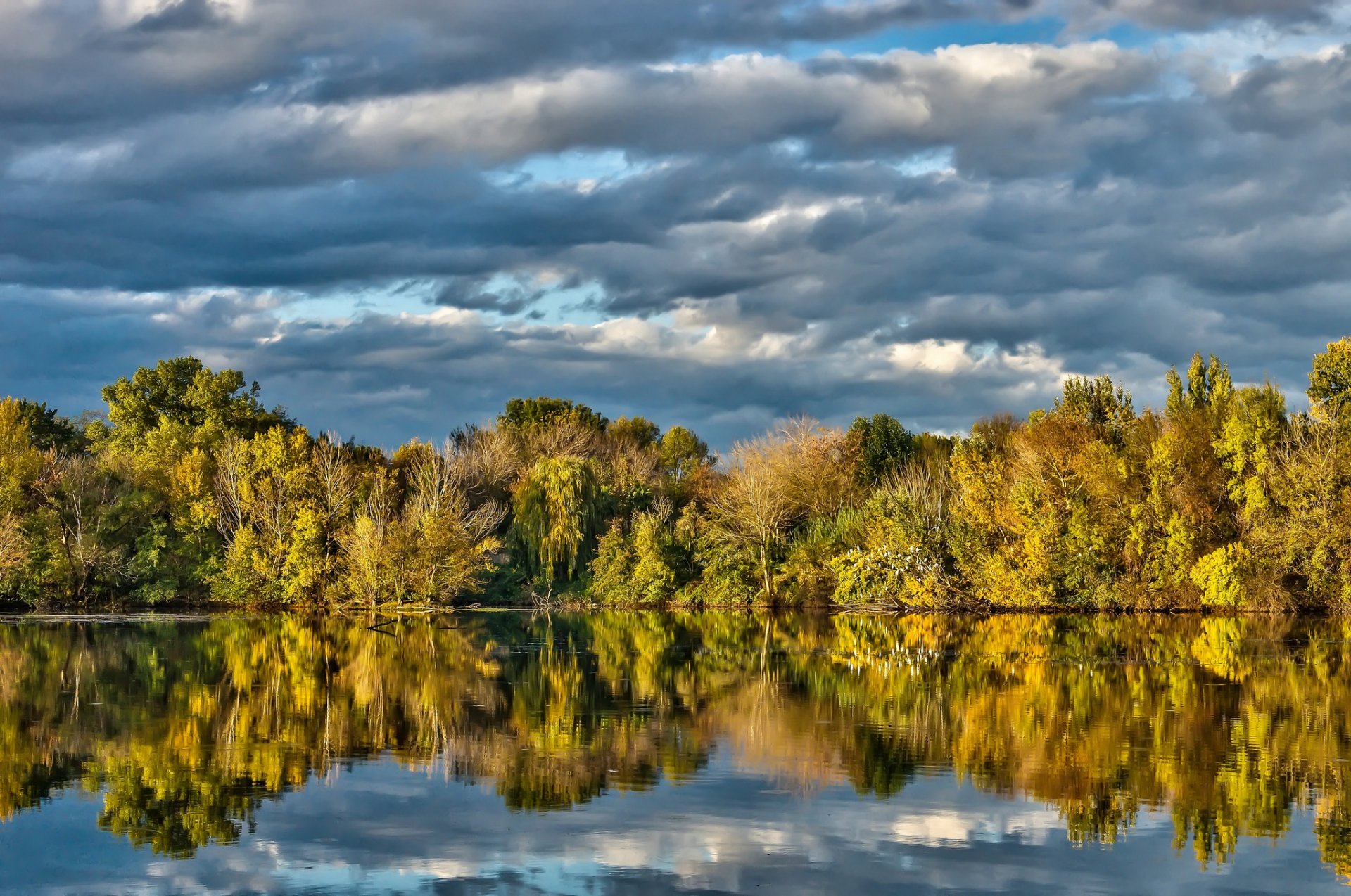 arbres lac réflexion