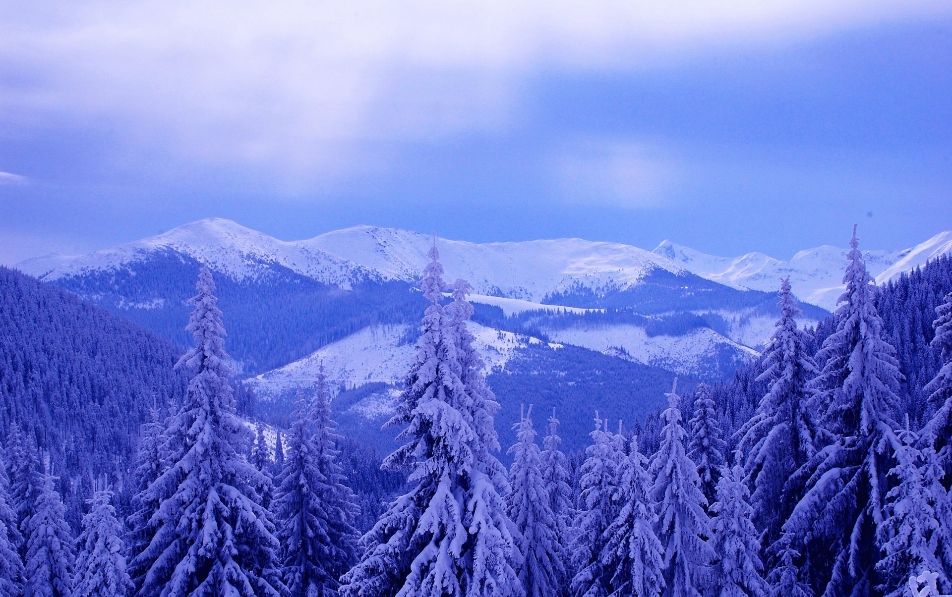 ky clouds mountain winter snow tree spruce landscape