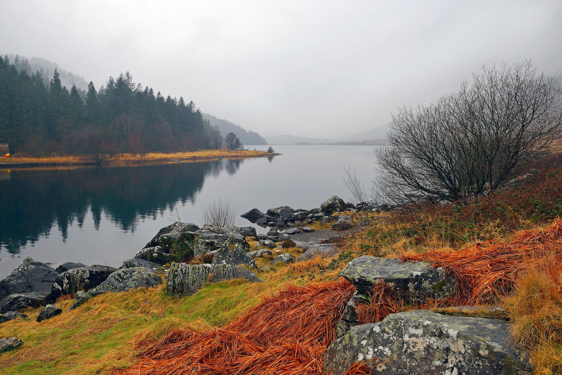 snowdonia pays de galles lac ciel brouillard montagnes pierres automne herbe paysage