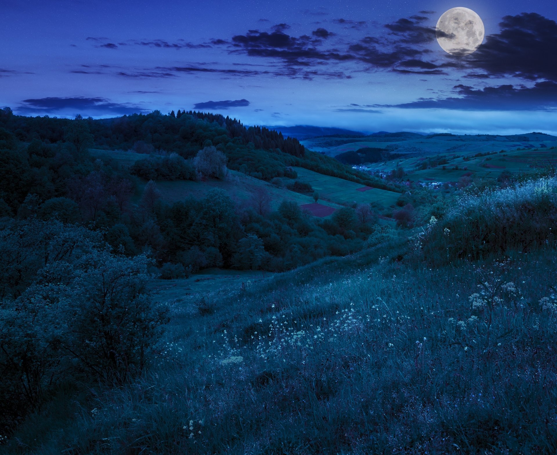 nature night hills trees moon