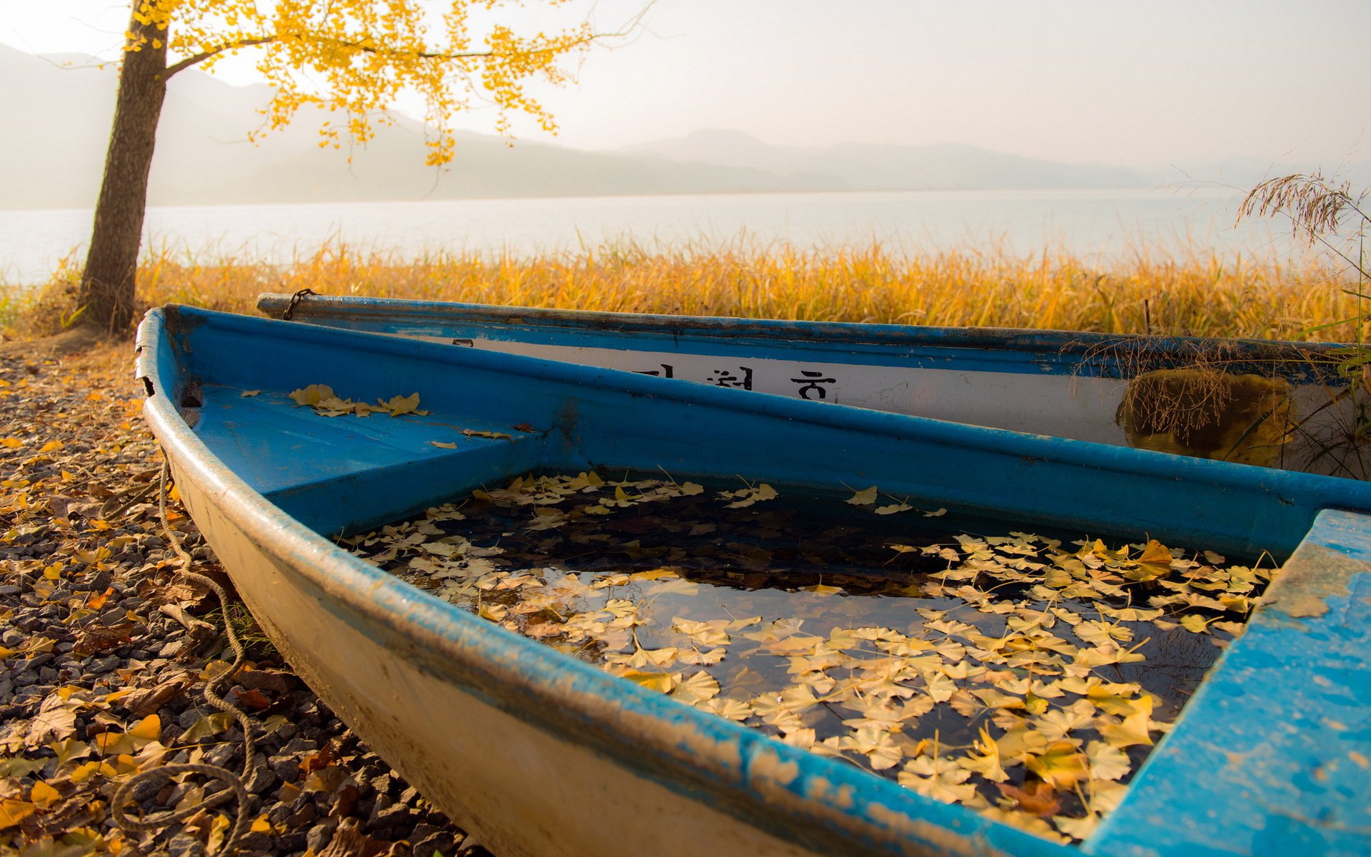 bateaux feuilles automne