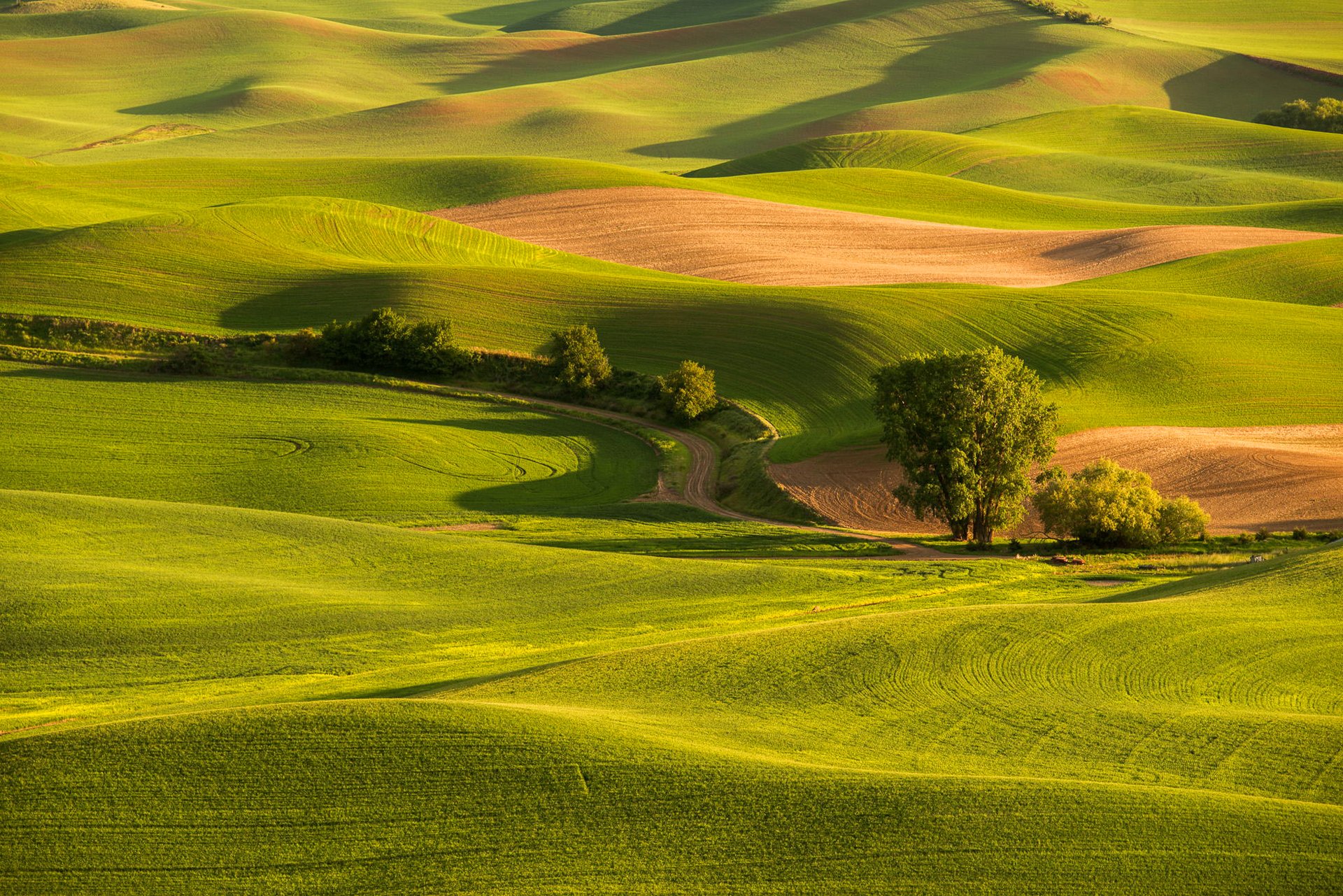 campo erba colline alberi strada tramonto