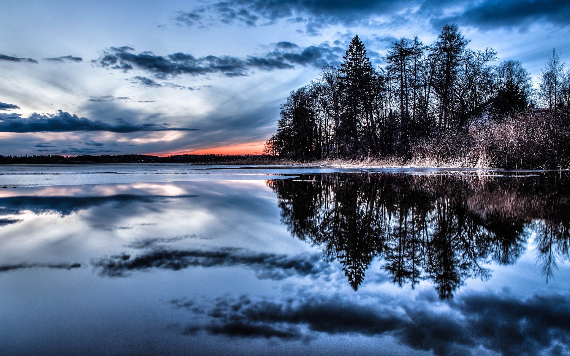 foresta riflessione acqua natura alberi cielo nuvole