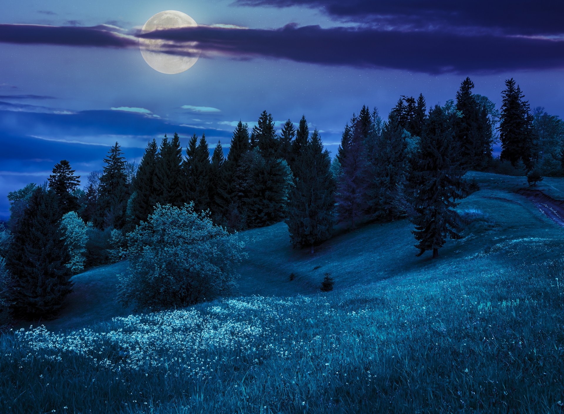 natura notte colline luna alberi