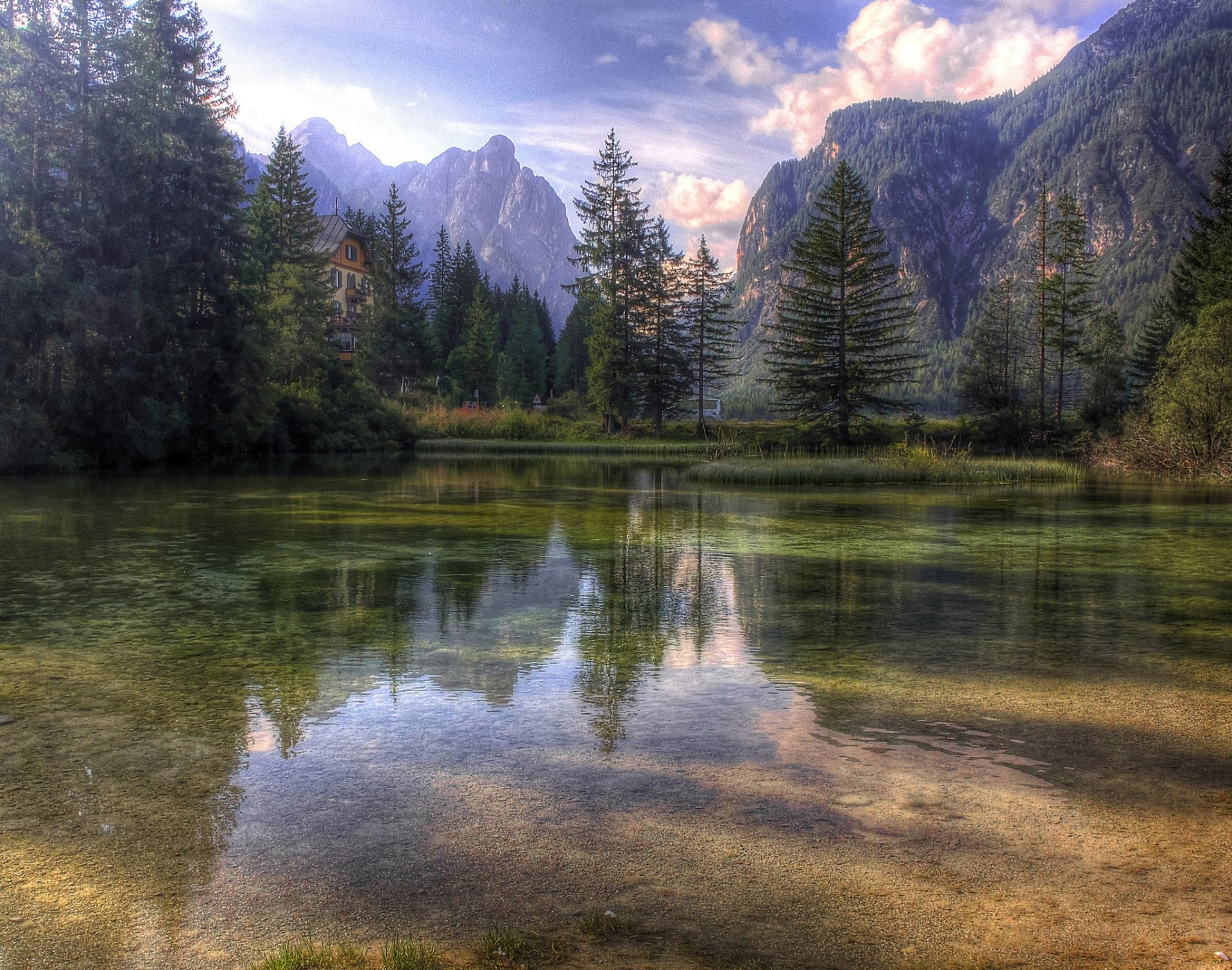 mountain tree reflection