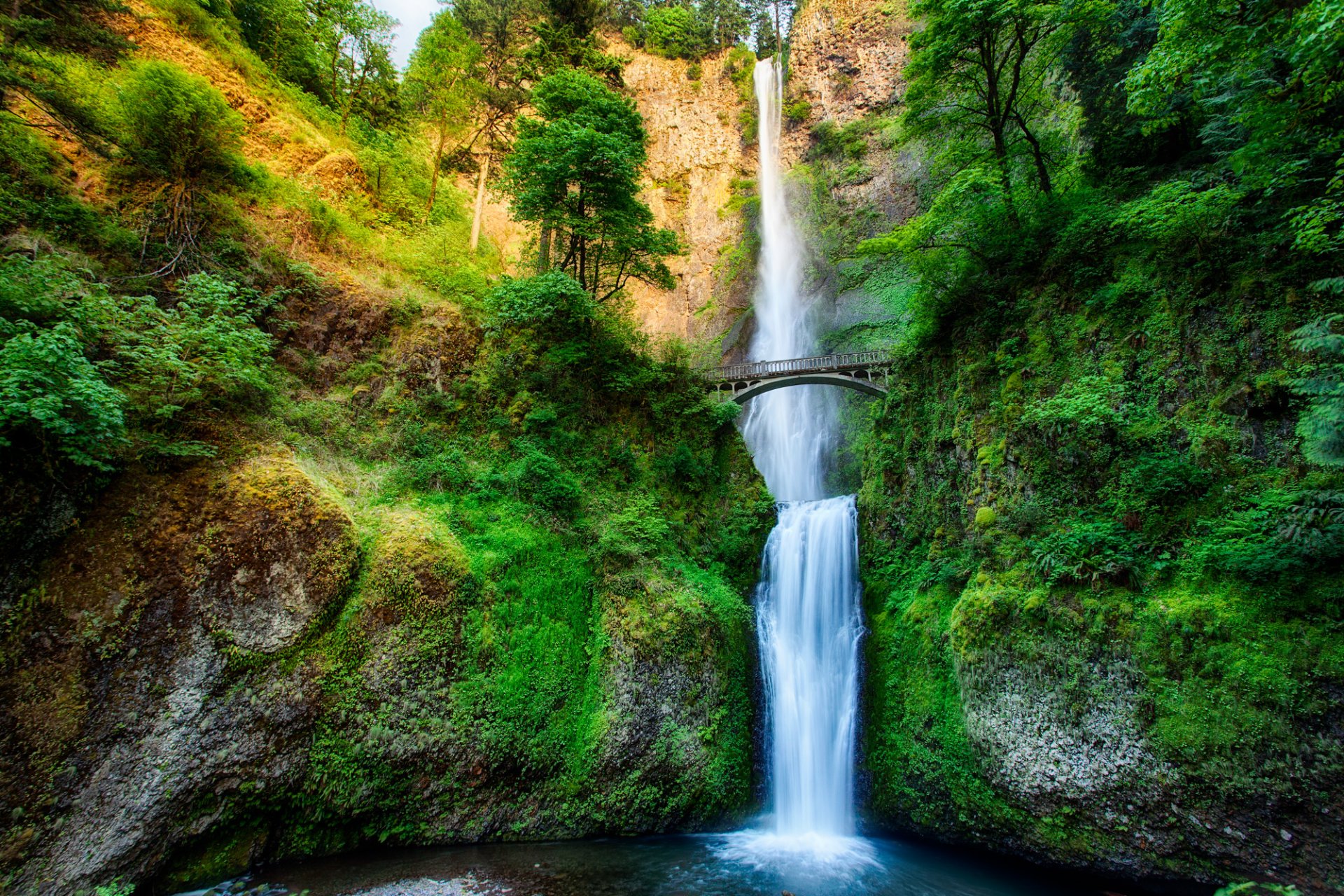 oregon usa wasserfall fluss strom wald bäume brücke felsen