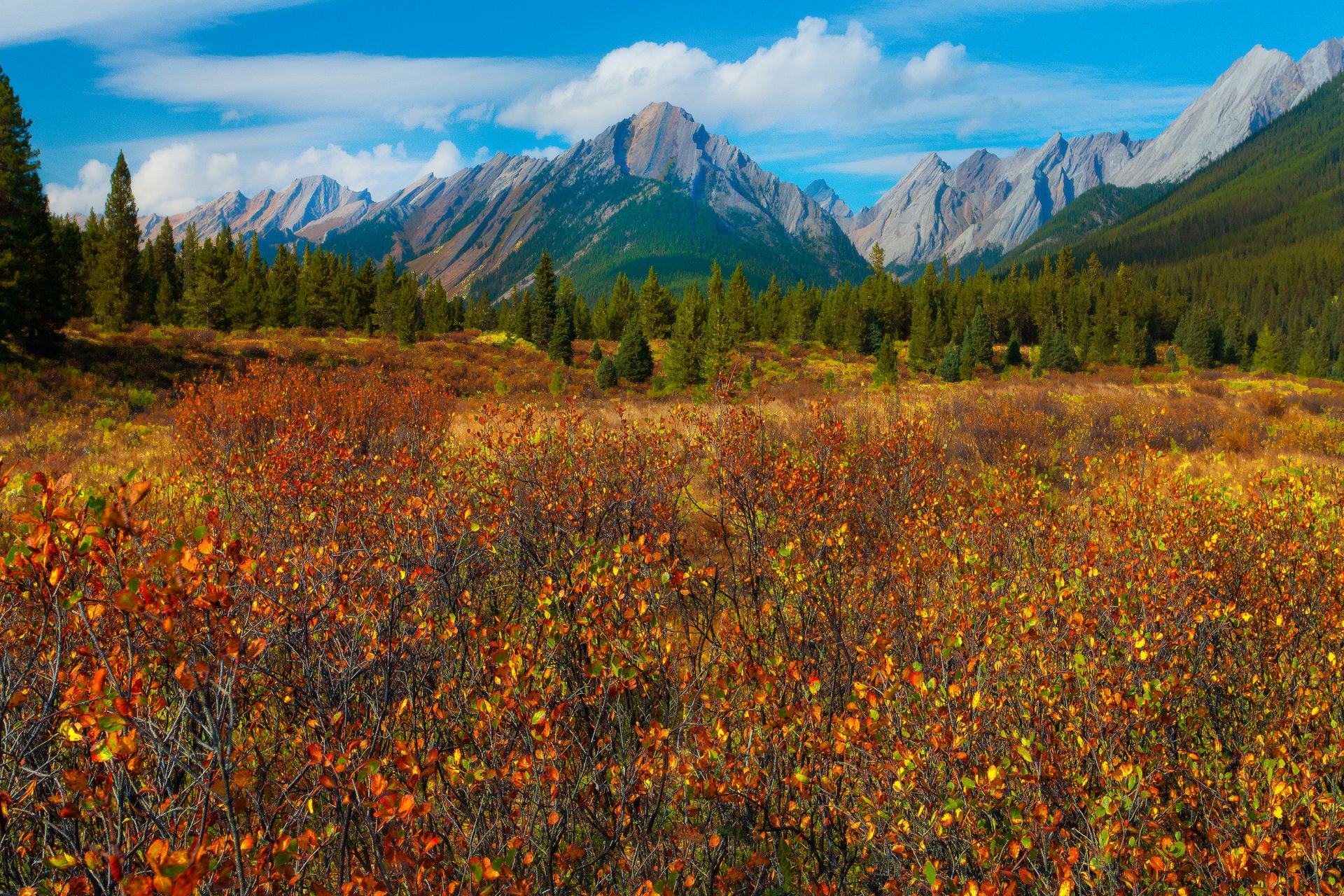 park narodowy banff alberta kanada jesień góry niebo las drzewa łąka trawa liście