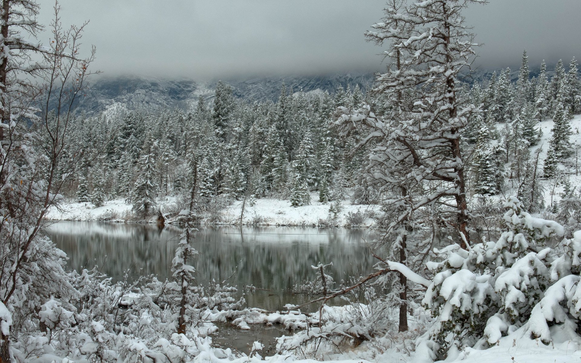 winter snow forest lake clouds mountain