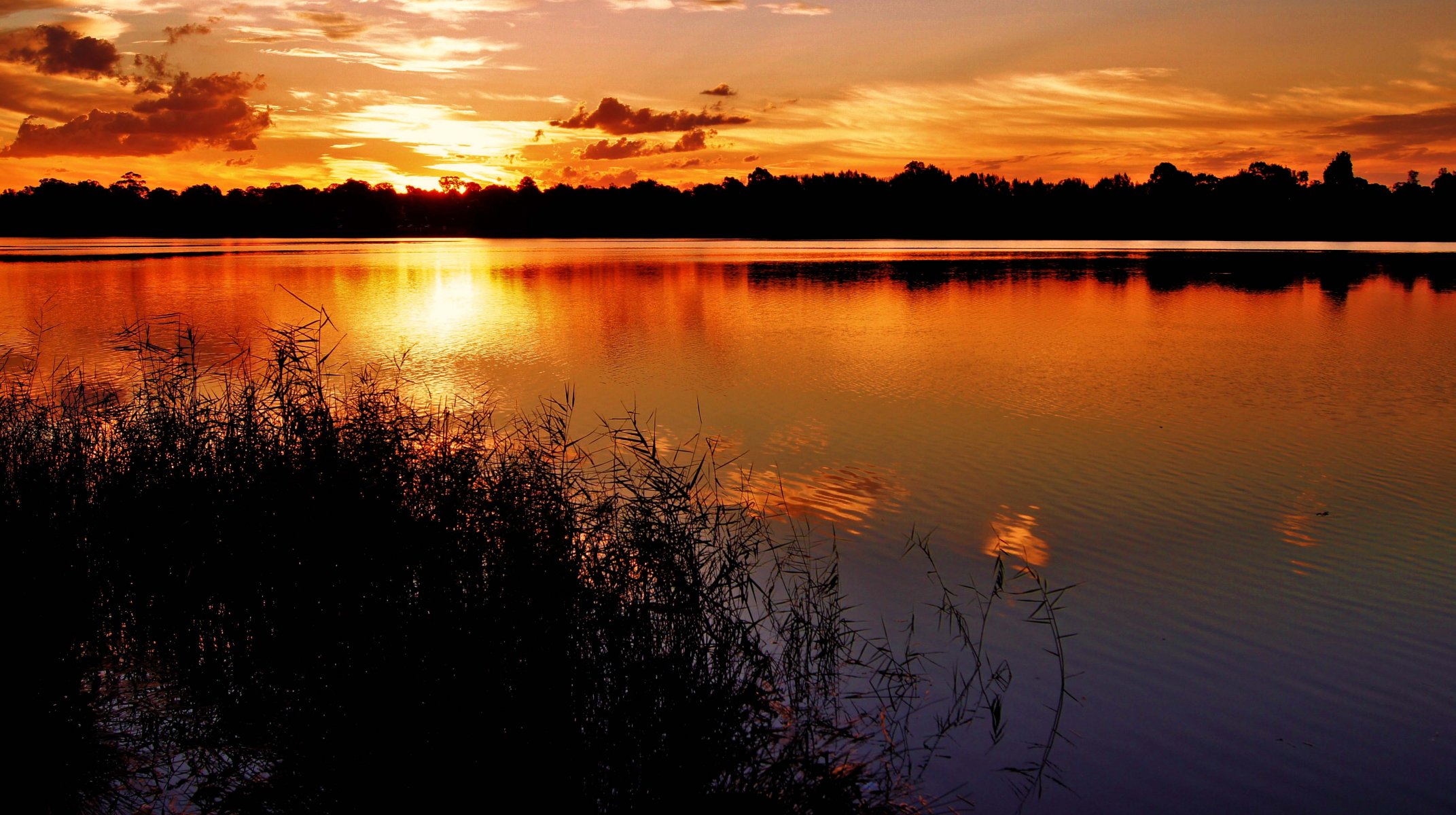 coucher de soleil lac herbe soir silhouettes côte nuages