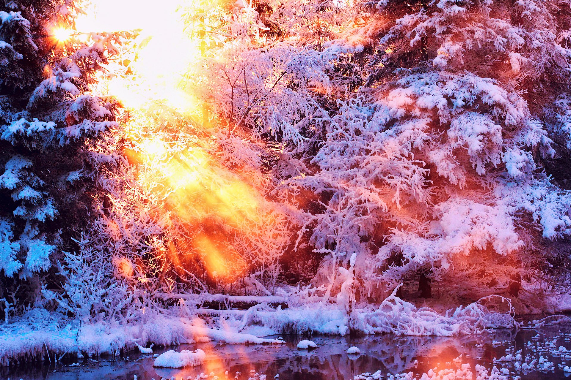 natur winter schnee licht bäume sonne wasser