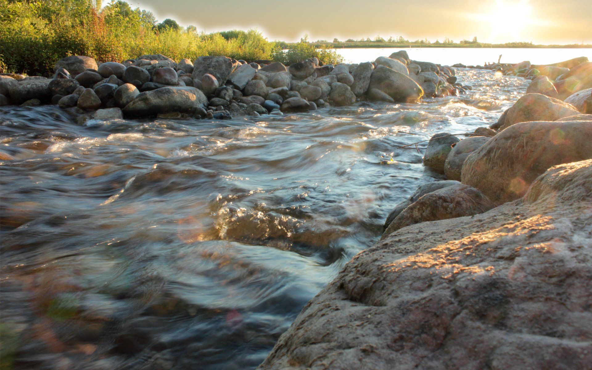 fluss strom fluss steine wasser bach bäume sonne foto