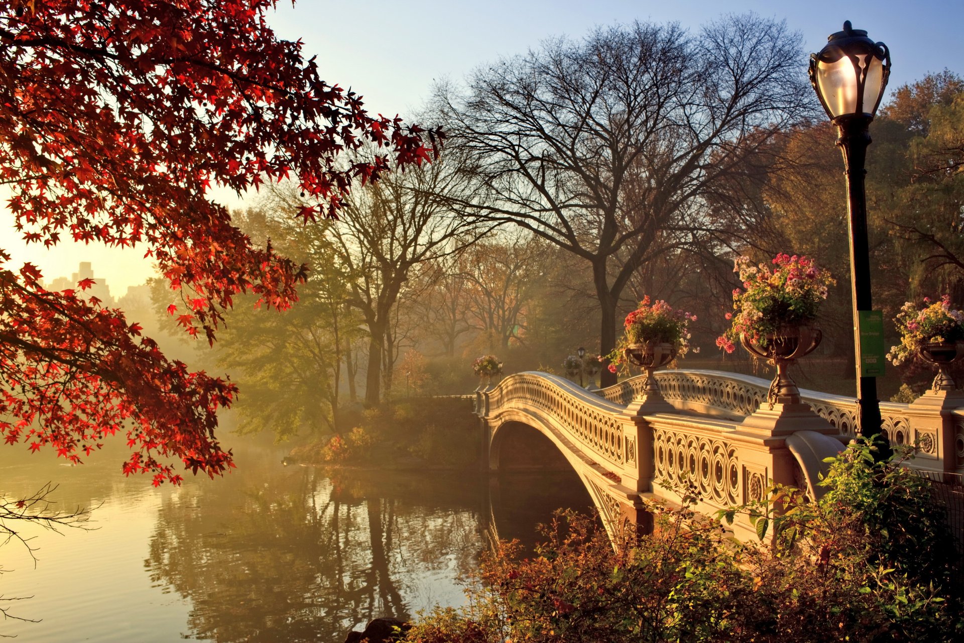 autumn park bridge fall season landscape