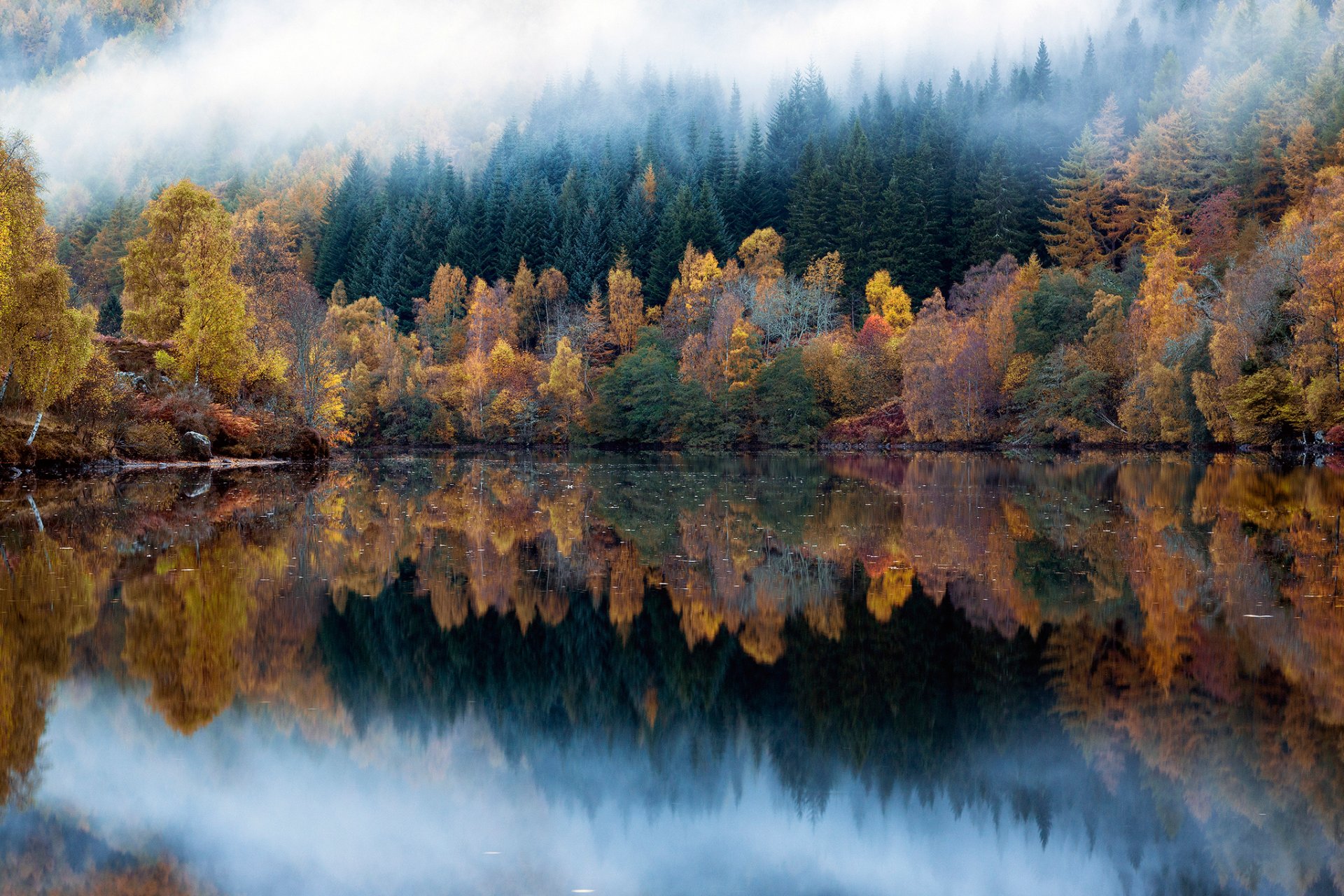 nature forest lake autumn reflection