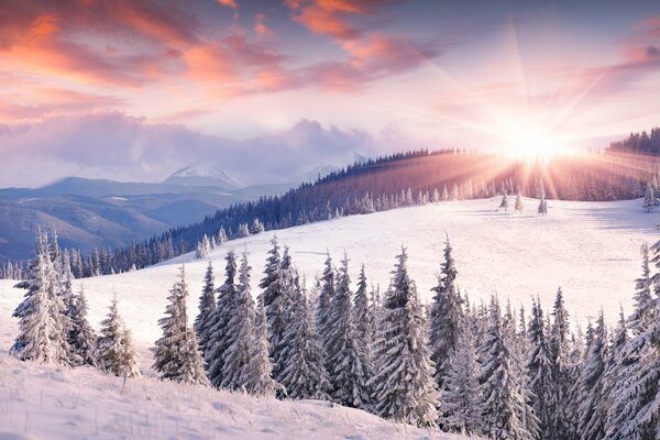 Bright, warm sun illuminates a winter day