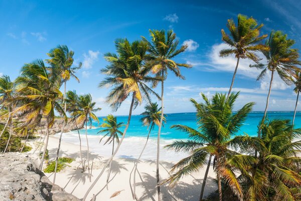 Vacation, Bahamas, white sand