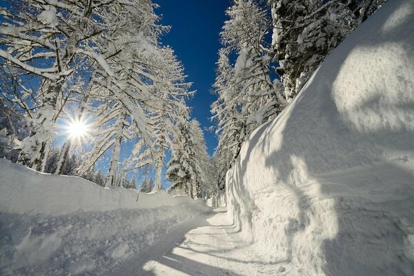 Sonnendrohrote Straße im winterlichen Morsenwald