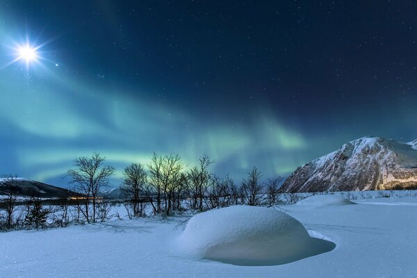 Aurora boreale in inverno nevoso