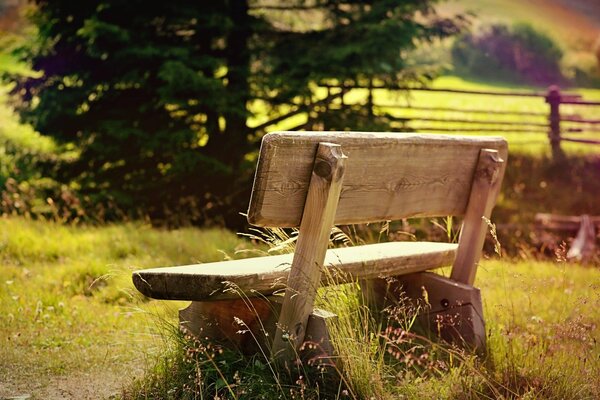 Summer bench in the meadow