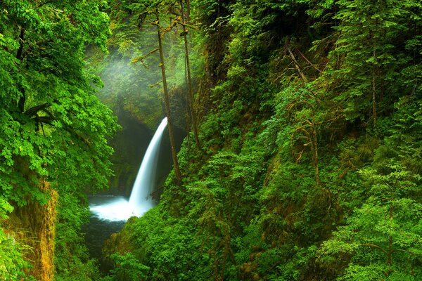 Cascata sullo sfondo della natura