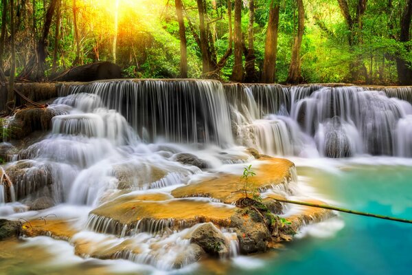 Bella cascata nella foresta. Cascata dall acqua