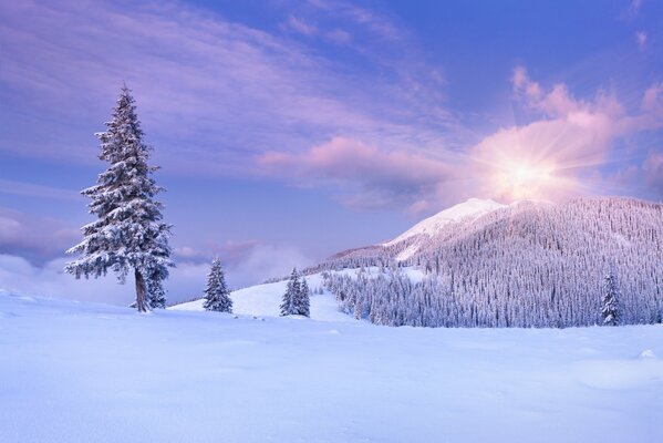 The sun over the mountain on a winter day