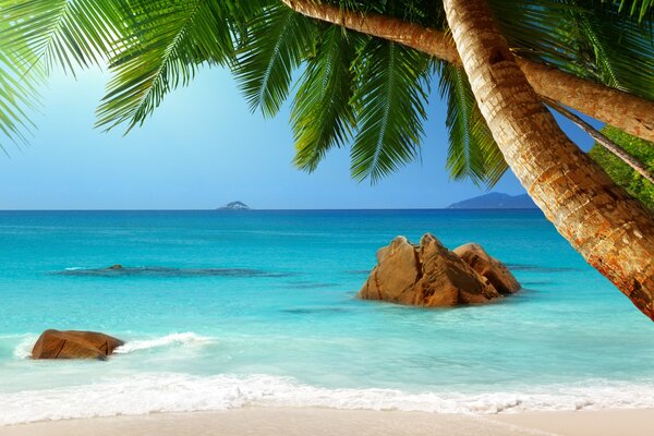 Image image de l océan, plage et sable blanc